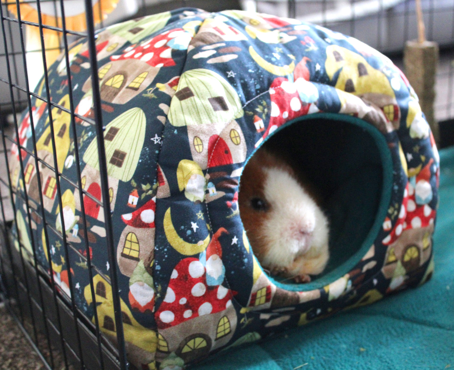 Gnome and Mushroom Town Guinea Pig Hidey House