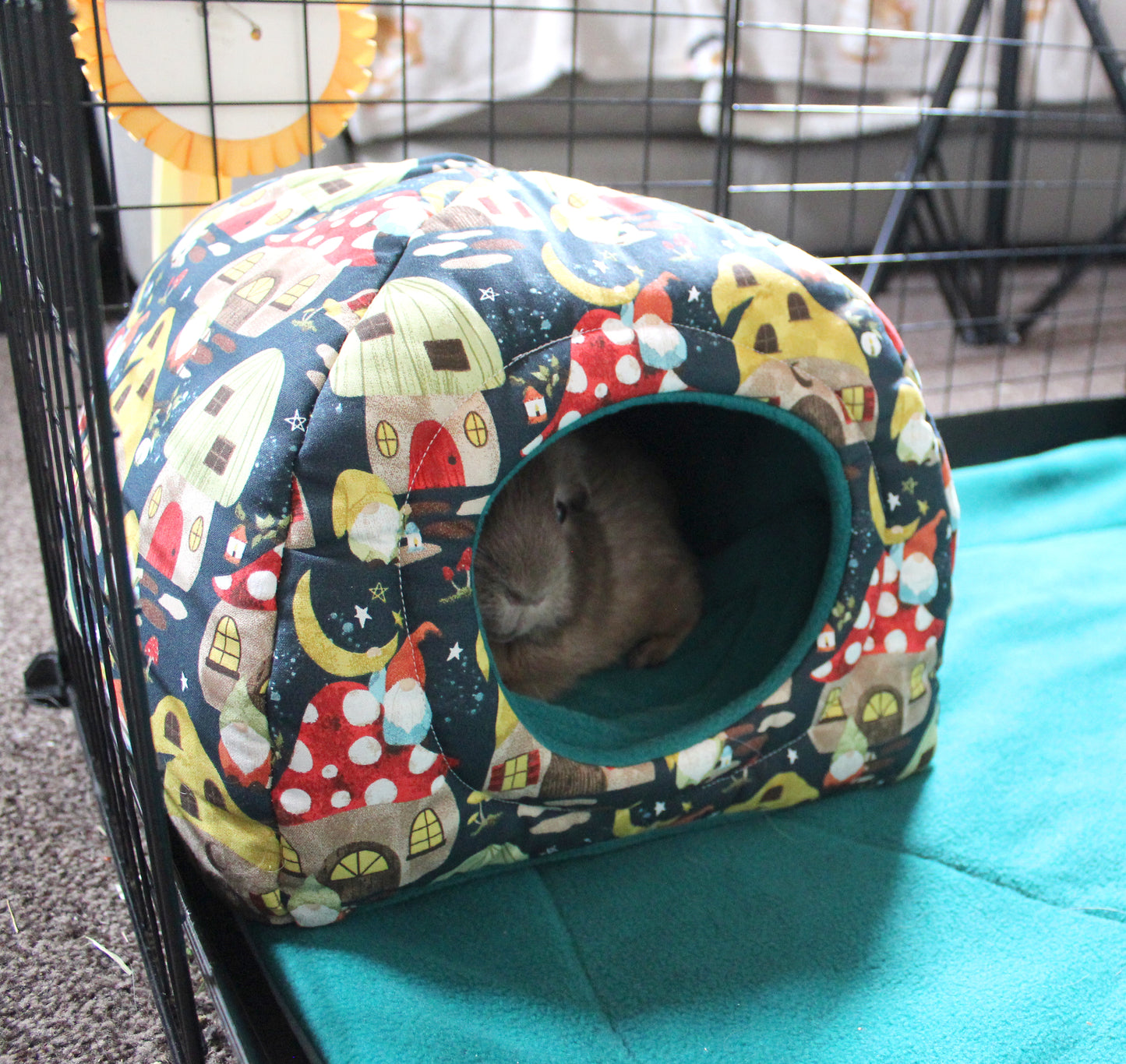 Gnome and Mushroom Town Guinea Pig Hidey House