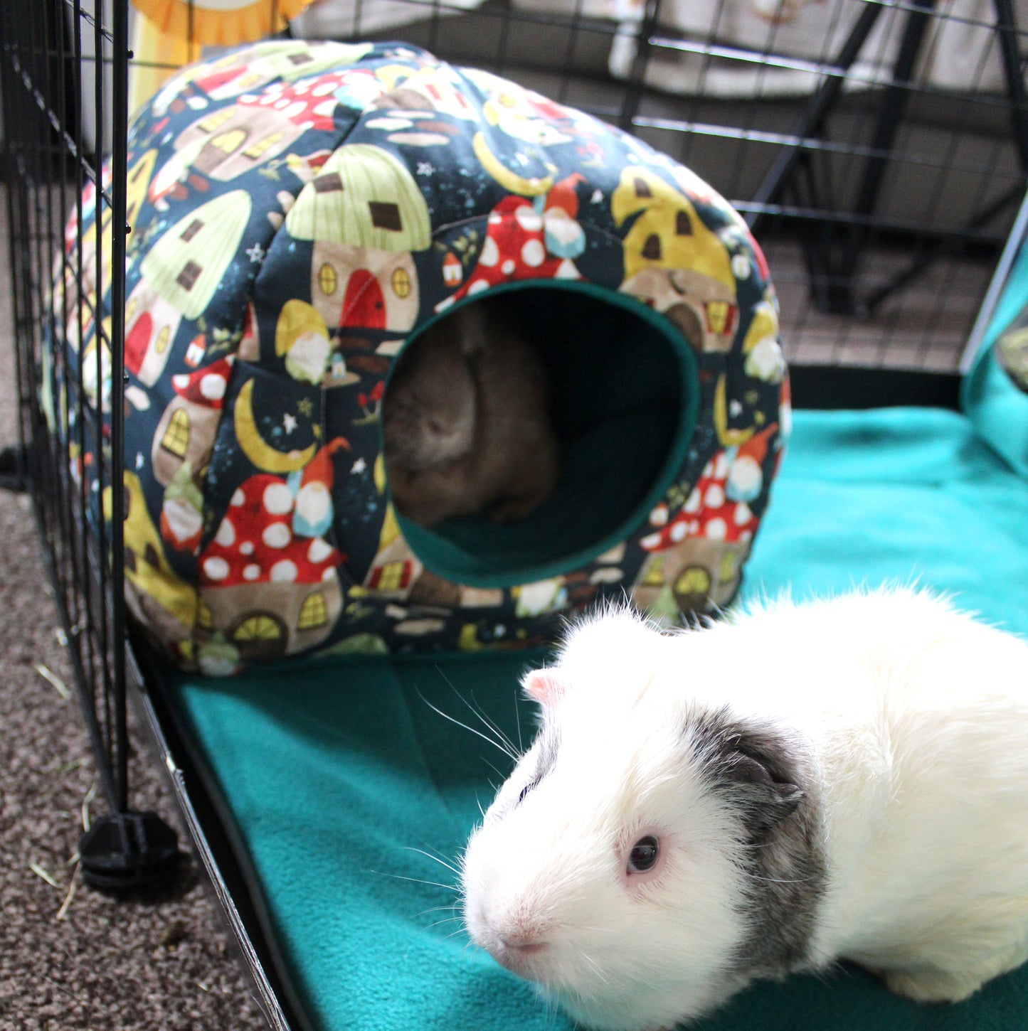Gnome and Mushroom Town Guinea Pig Hidey House