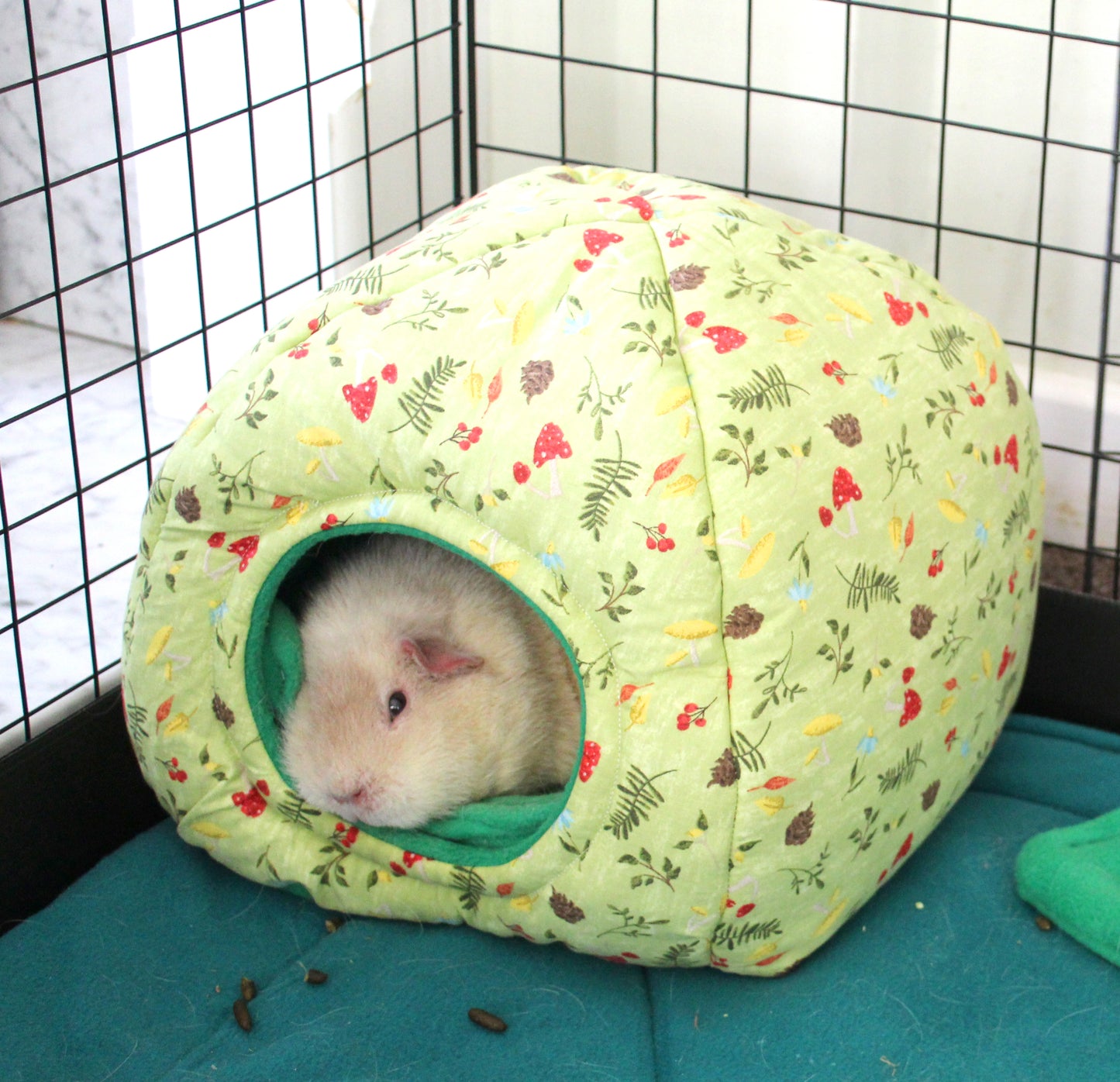 Green Mushroom Hidey Hut For Guinea Pigs