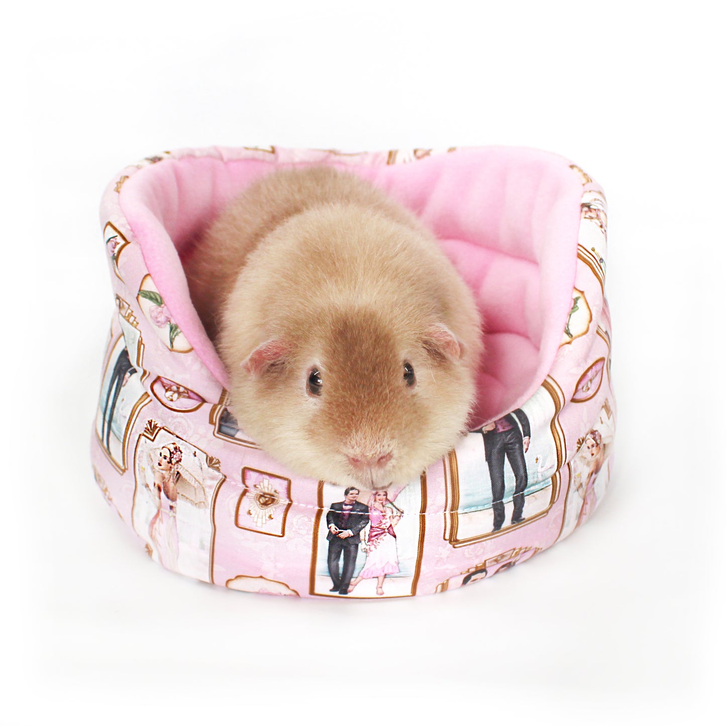Pink Art Deco Guinea Pig Accessory Bundle