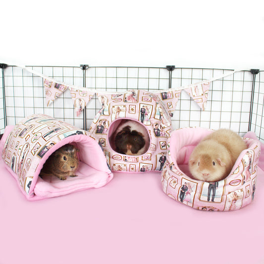 Pink Art Deco Guinea Pig Accessory Bundle