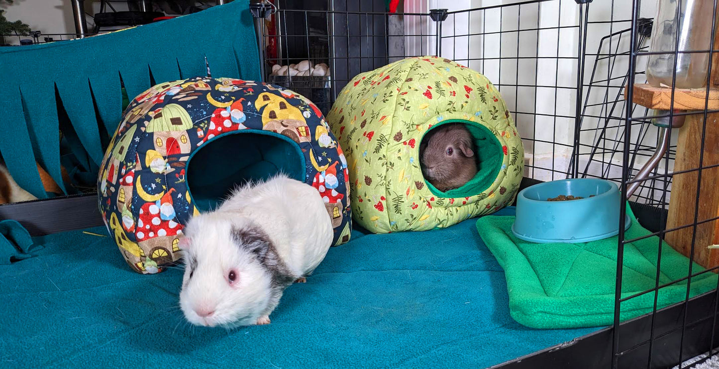 Green Mushroom Hidey Hut For Guinea Pigs