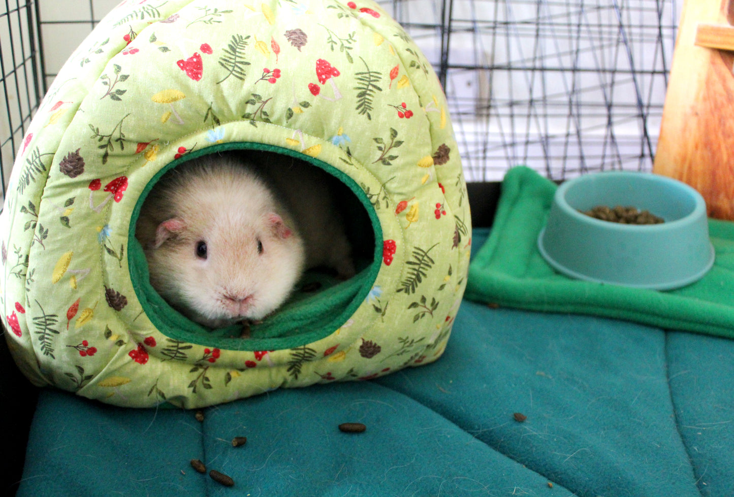 Green Mushroom Hidey Hut For Guinea Pigs