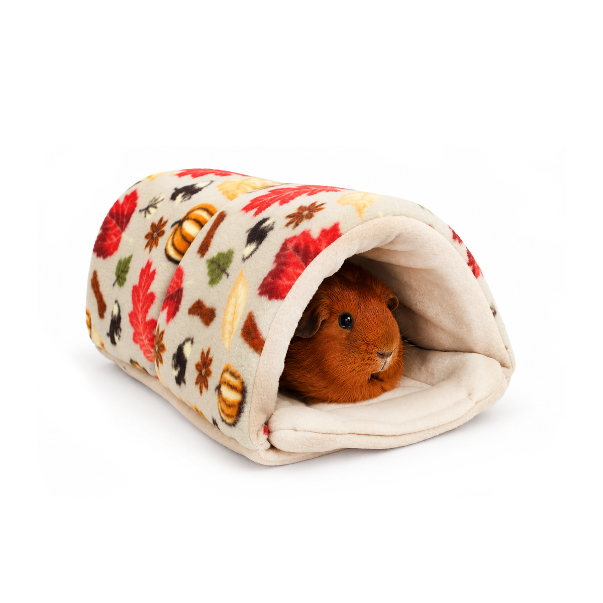 Autumn Beige Guinea Pig Accessory Bundle Deal