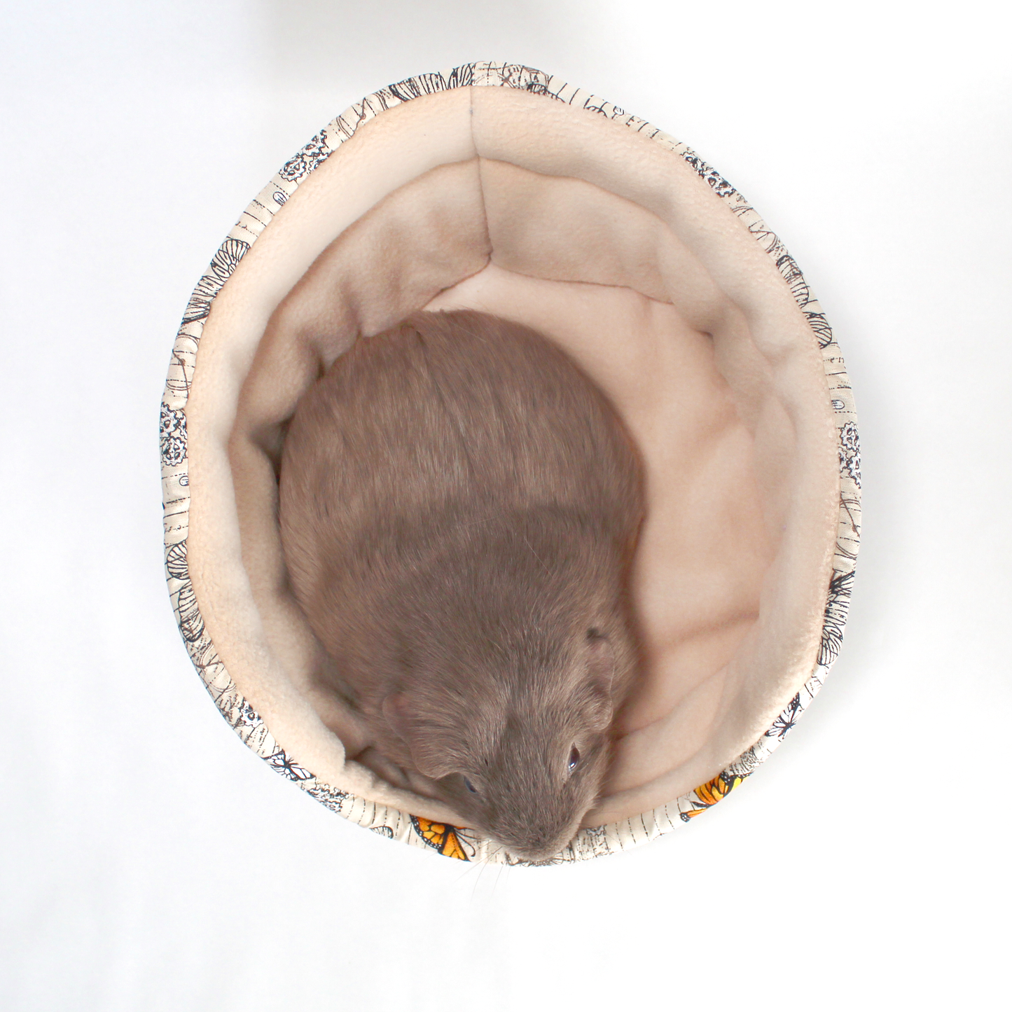 Steampunk Butterfly Cuddle Cup Bed, top view with a cosy guinea pig resting inside the bed for guinea pigs