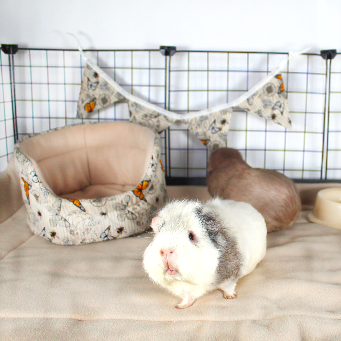 Steampunk Butterfly Cuddle Cup Bed, inside cage with guinea pigs