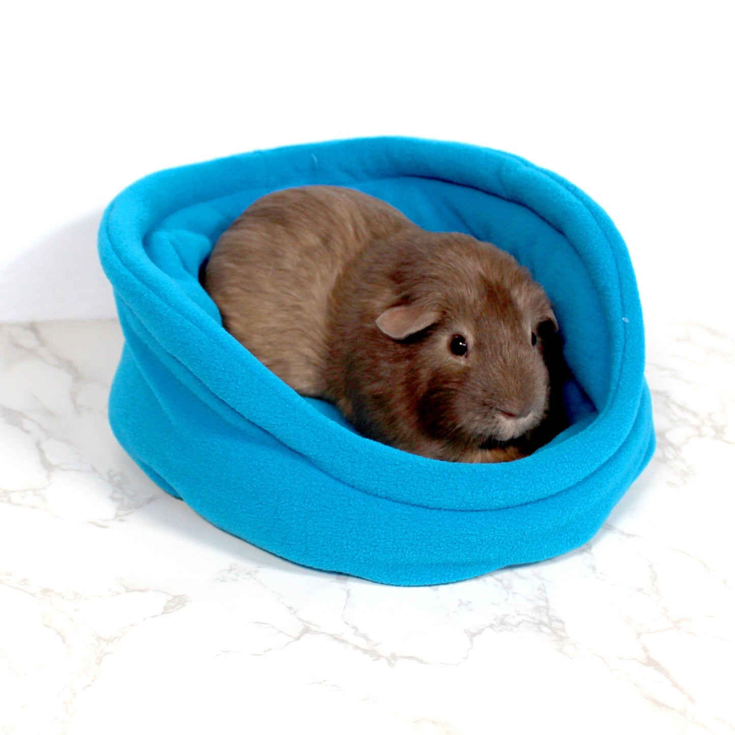 Azure Blue Bed for Guinea Pigs, side view with guinea pig