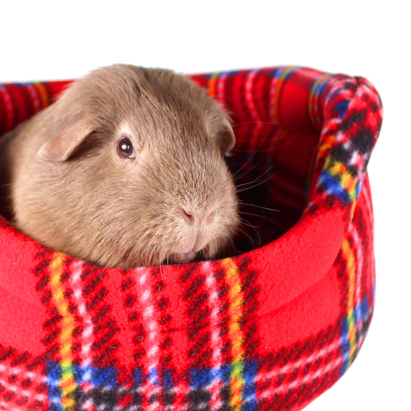 Red Tartan Guinea Pig Cuddle Cup, close up view with guinea pig