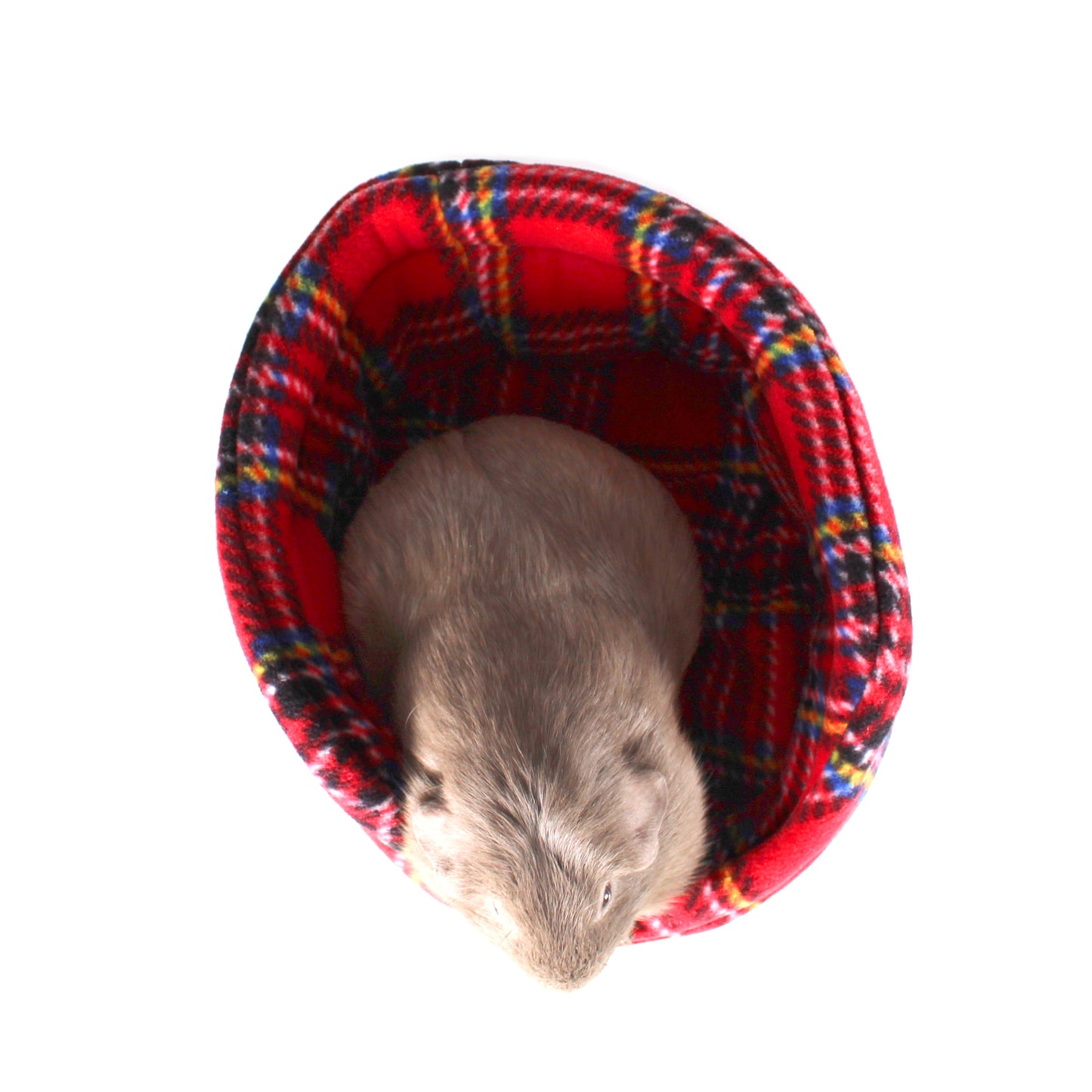 Red Tartan Guinea Pig Cuddle Cup, top view with guinea pig
