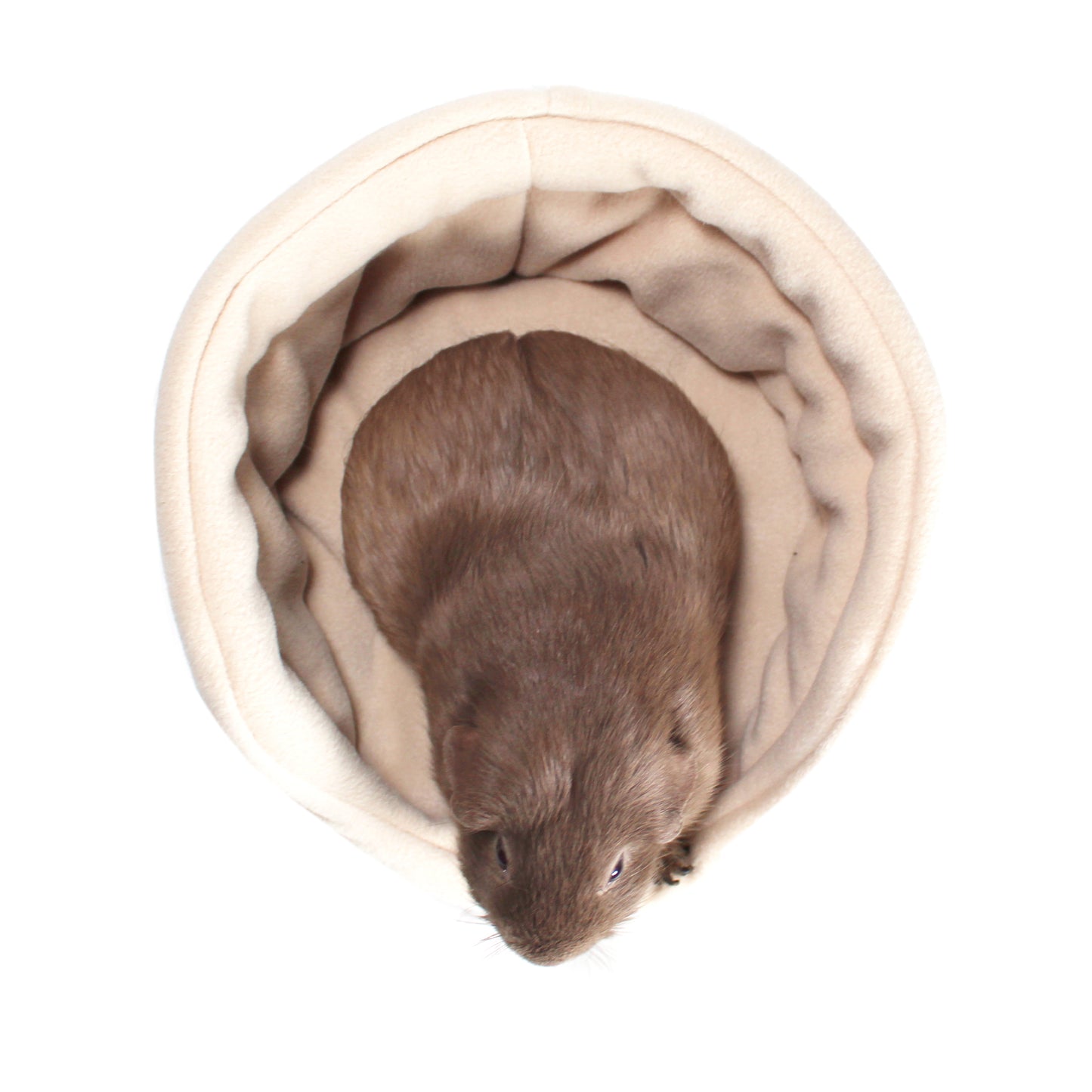 Beige Bed for Guinea Pigs, top view with guinea pig