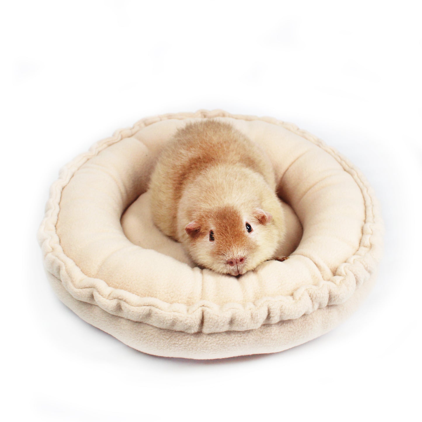 Beige Doughnut Bed for Guinea Pigs