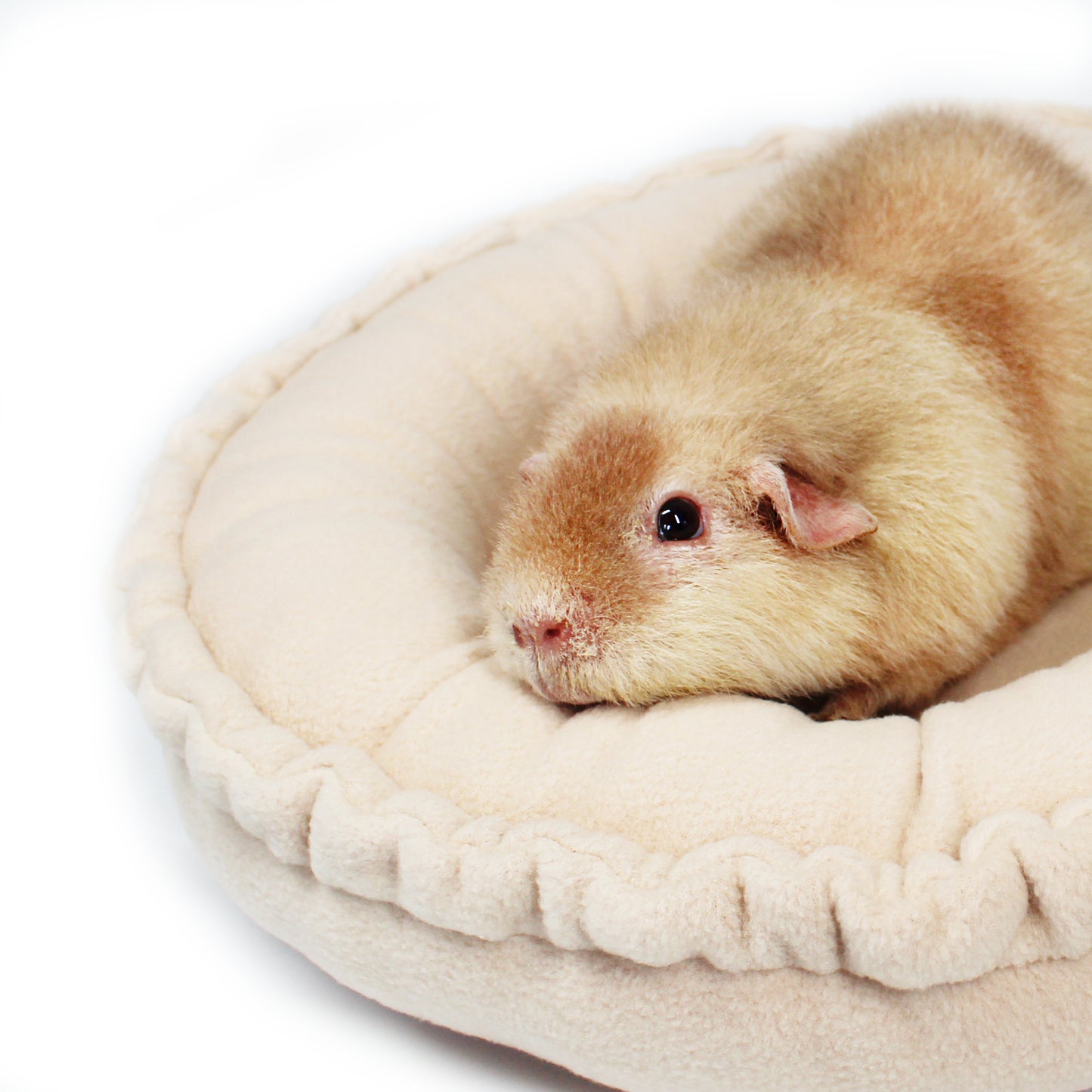 Beige Doughnut Bed for Guinea Pigs