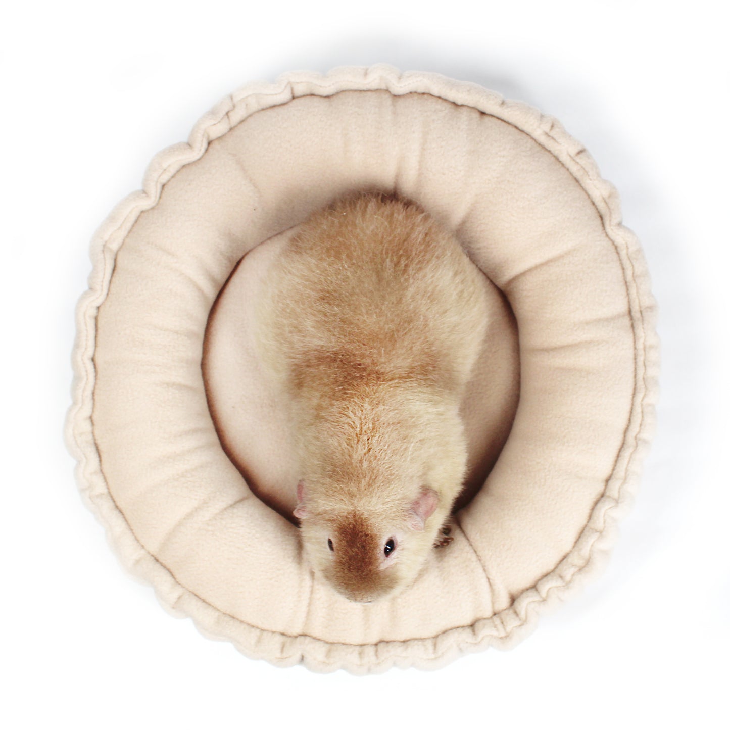 Beige Doughnut Bed for Guinea Pigs
