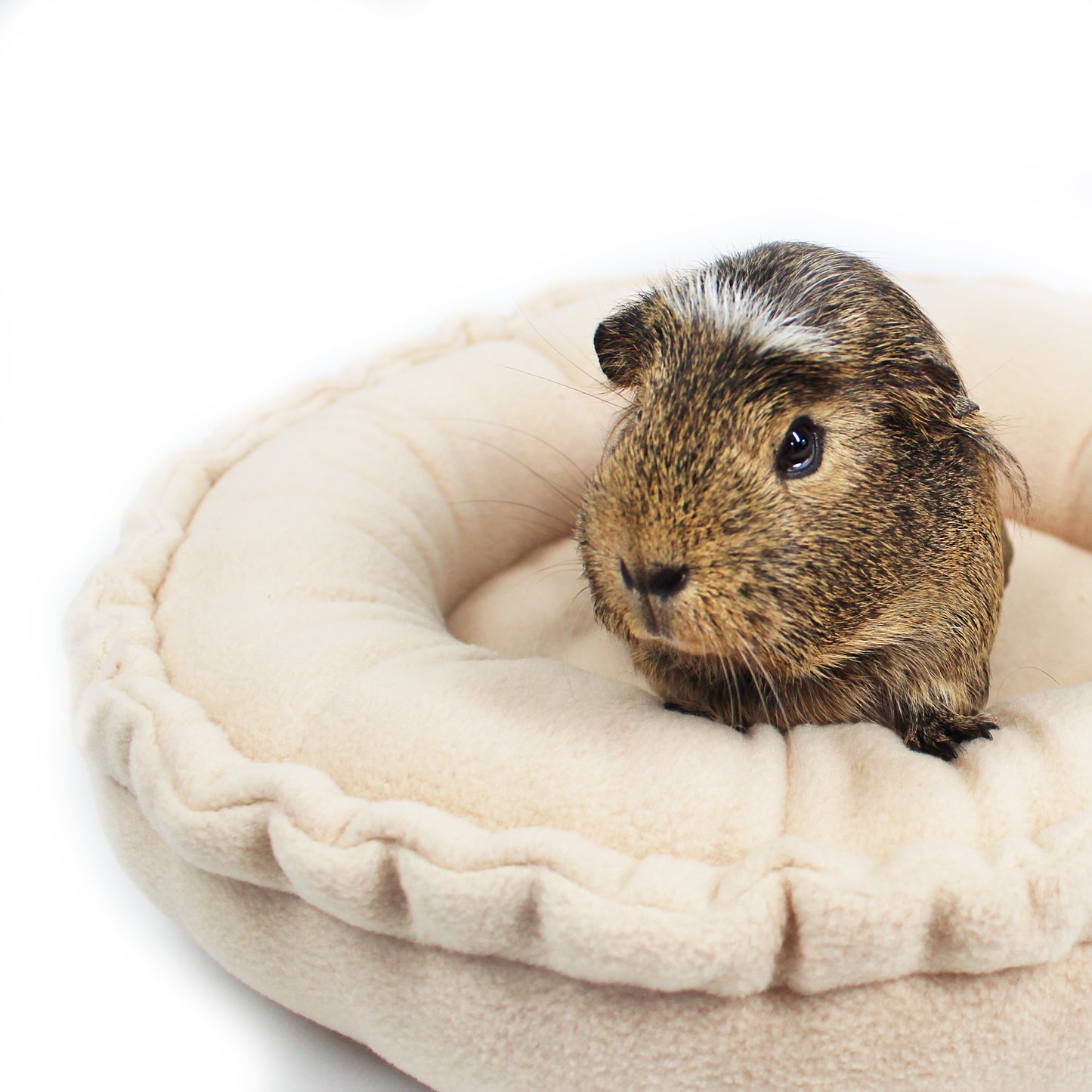 Beige Doughnut Bed for Guinea Pigs