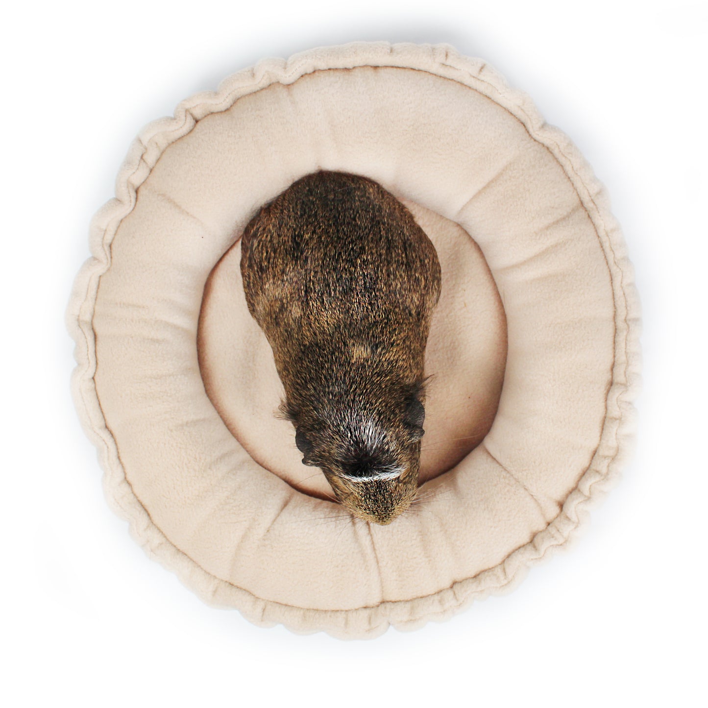 Beige Doughnut Bed for Guinea Pigs