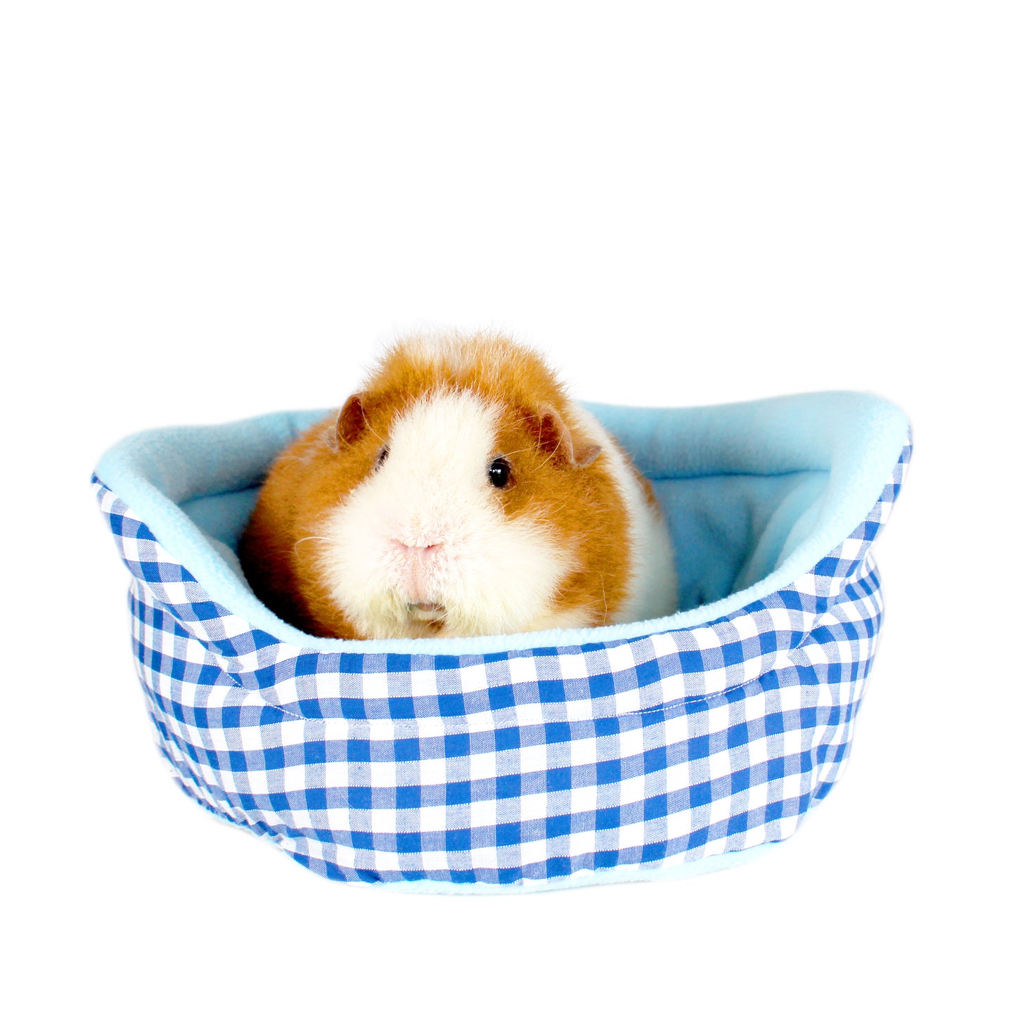 Blue Gingham Bed for Guinea Pigs, alternative front view with Guinea pig