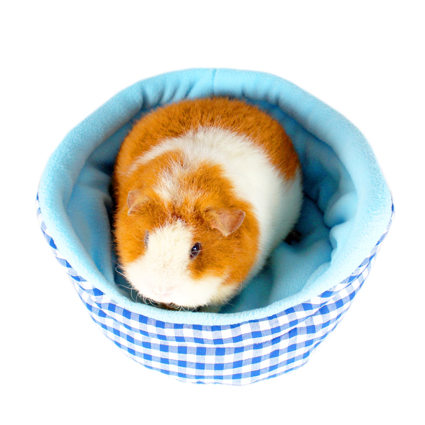 Blue Gingham Bed for Guinea Pigs, top view with a guinea pig