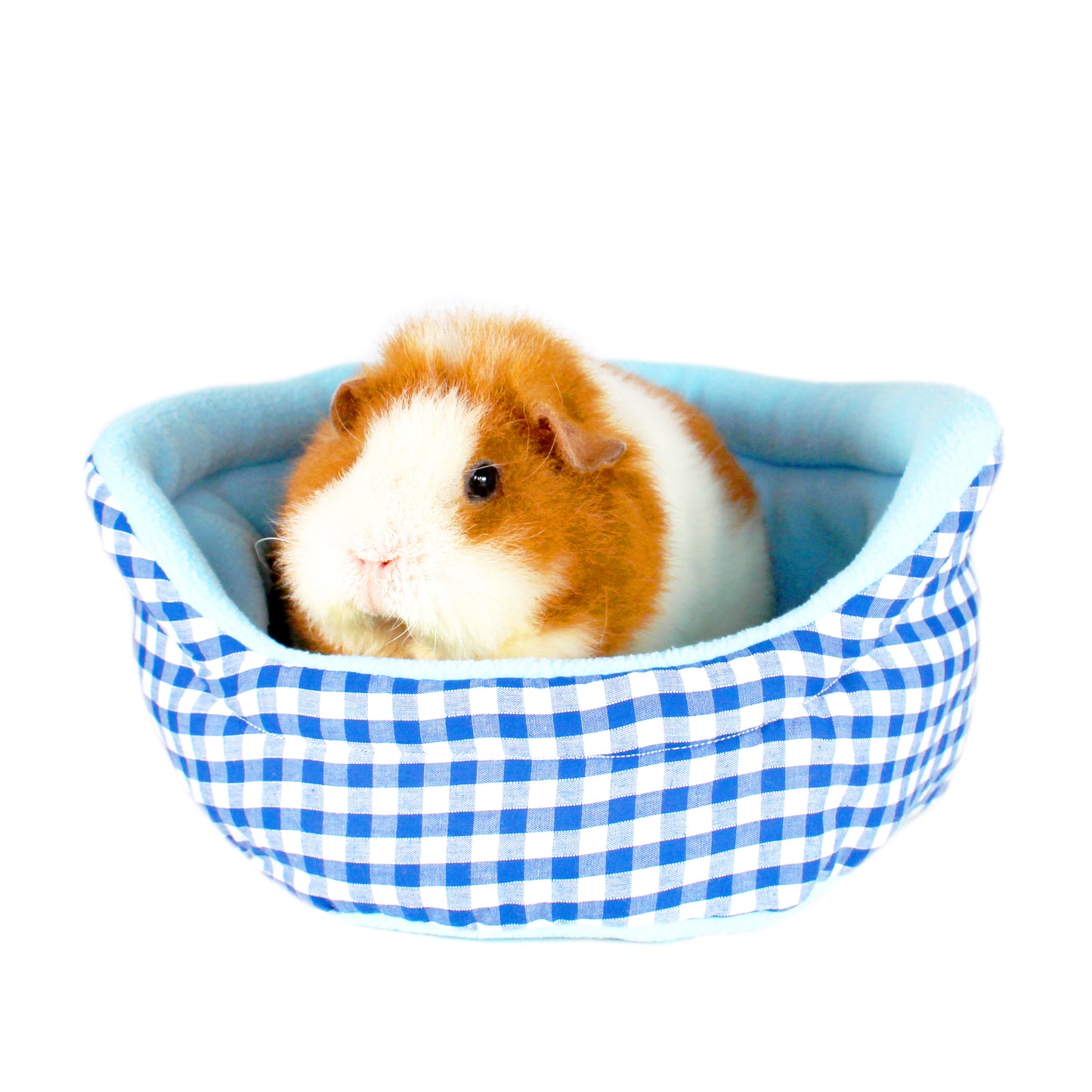 Blue Gingham Bed for Guinea Pigs, Front view with a guinea pig