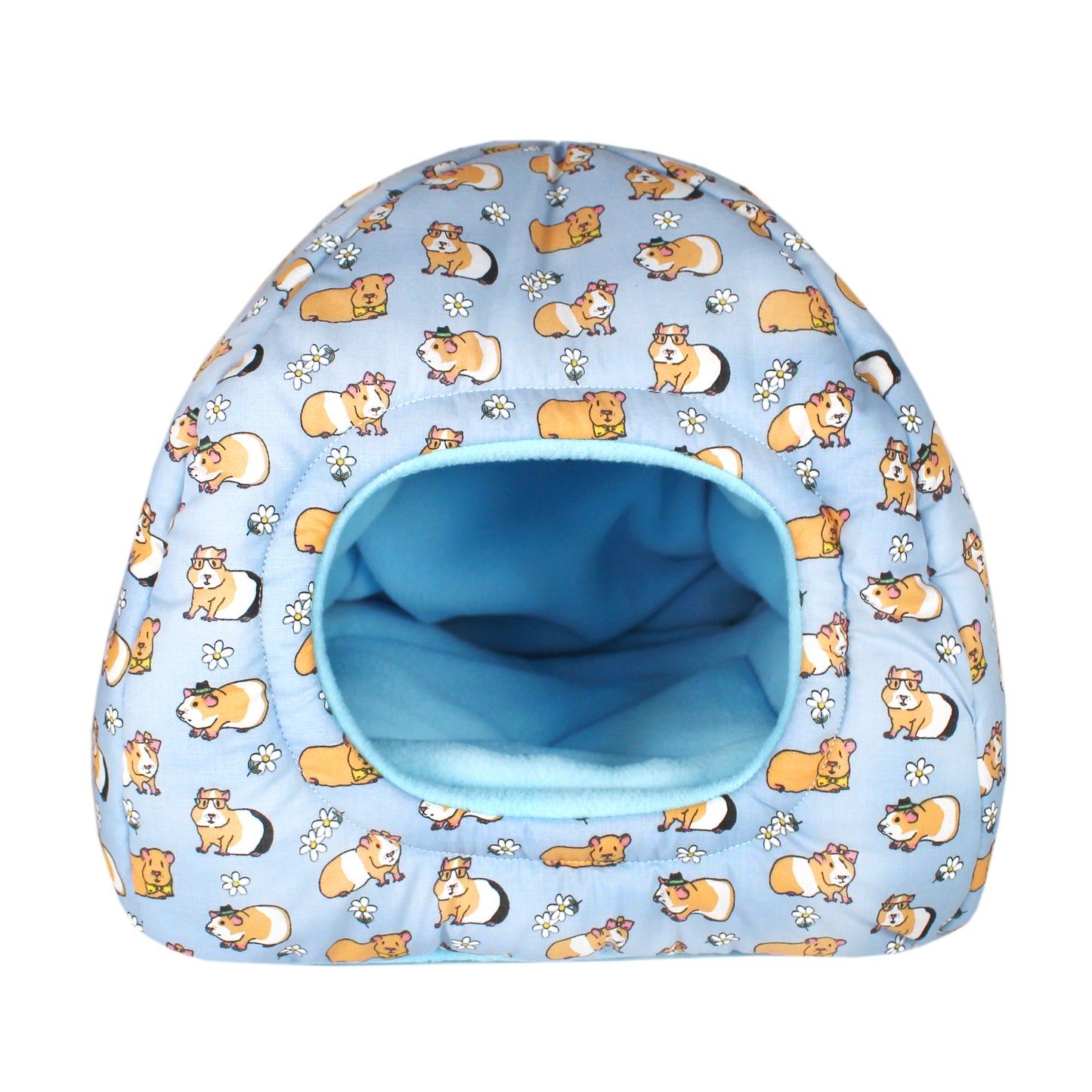 Blue Guinea Pig Pattern Hidey Hut, front view empty