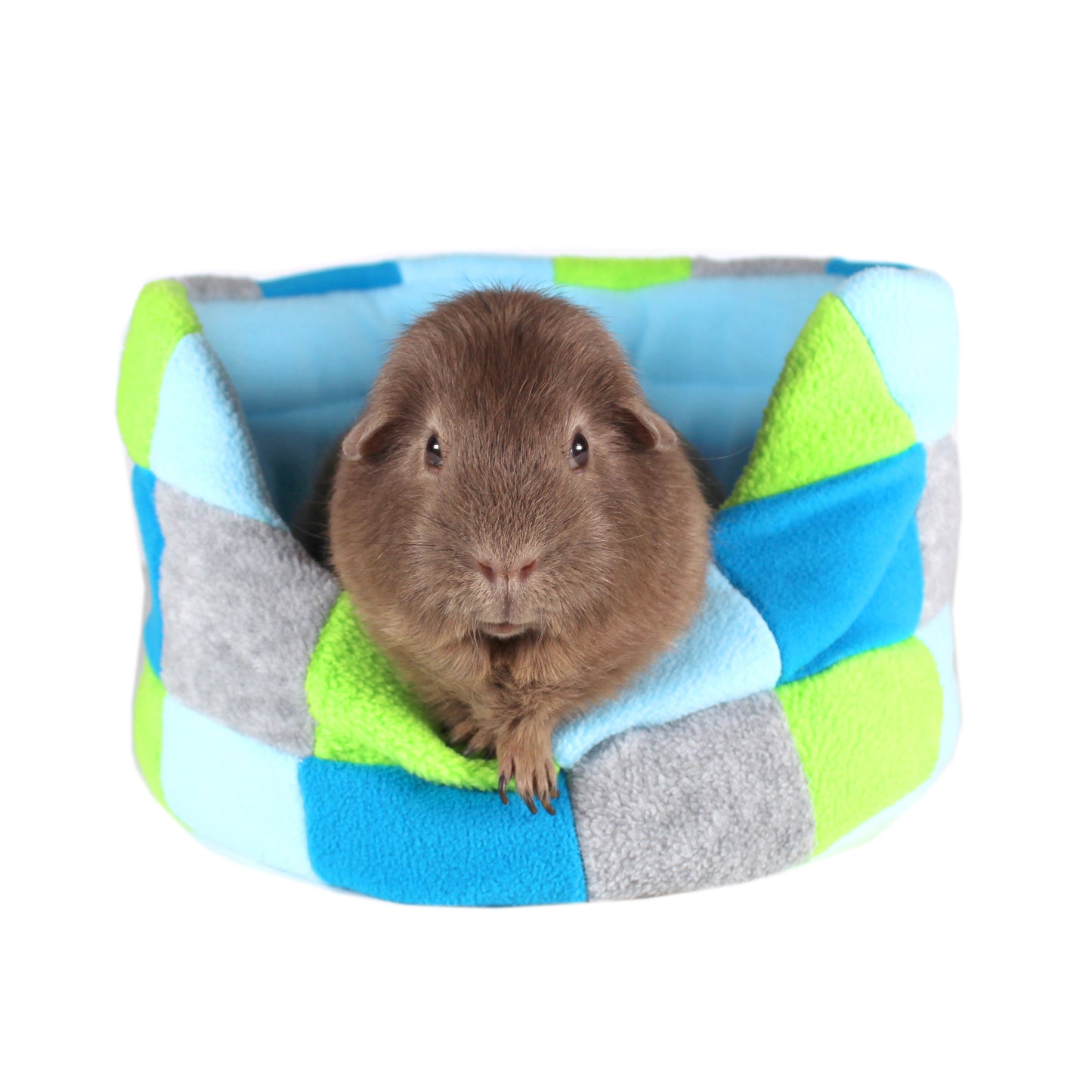 Blue and Green Patchwork Guinea Pig Bed, Front view with Guinea Pig