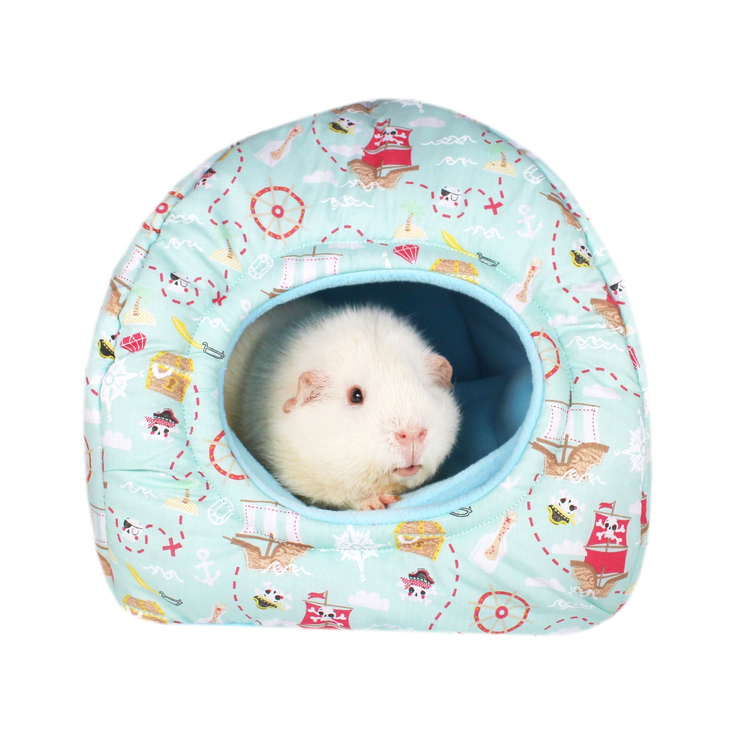 Blue Pirate Guinea Pig Hidey Hut, front view with a happy guinea pig