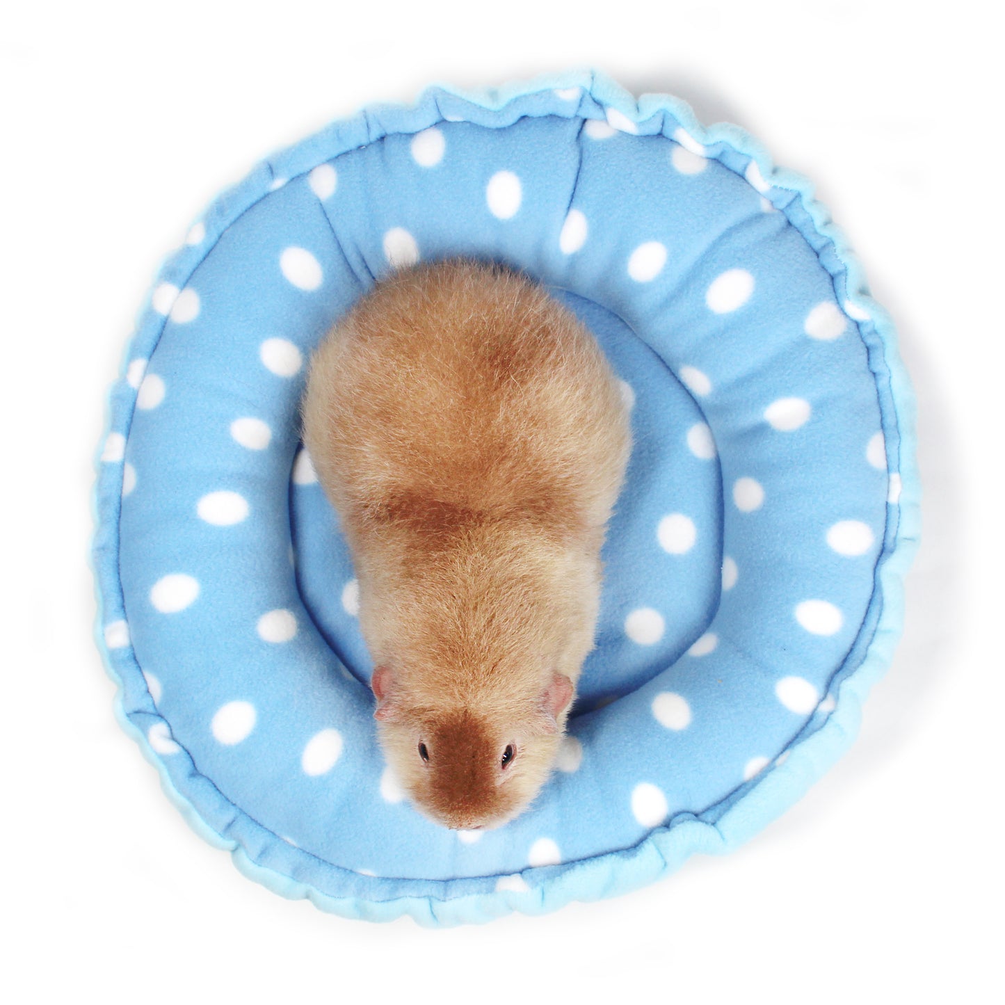 Blue Polka Dot Doughnut Bed