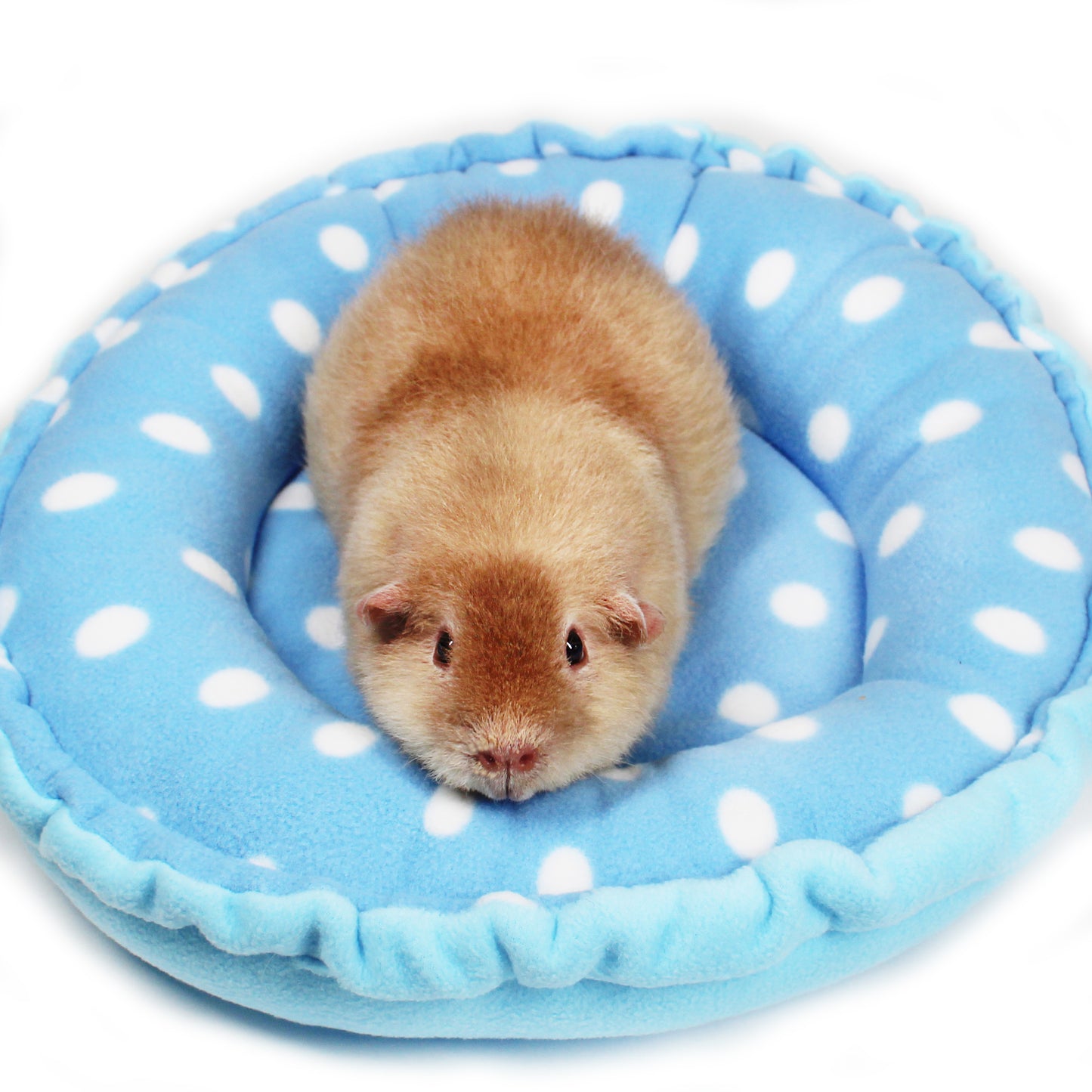 Blue Polka Dot Doughnut Bed