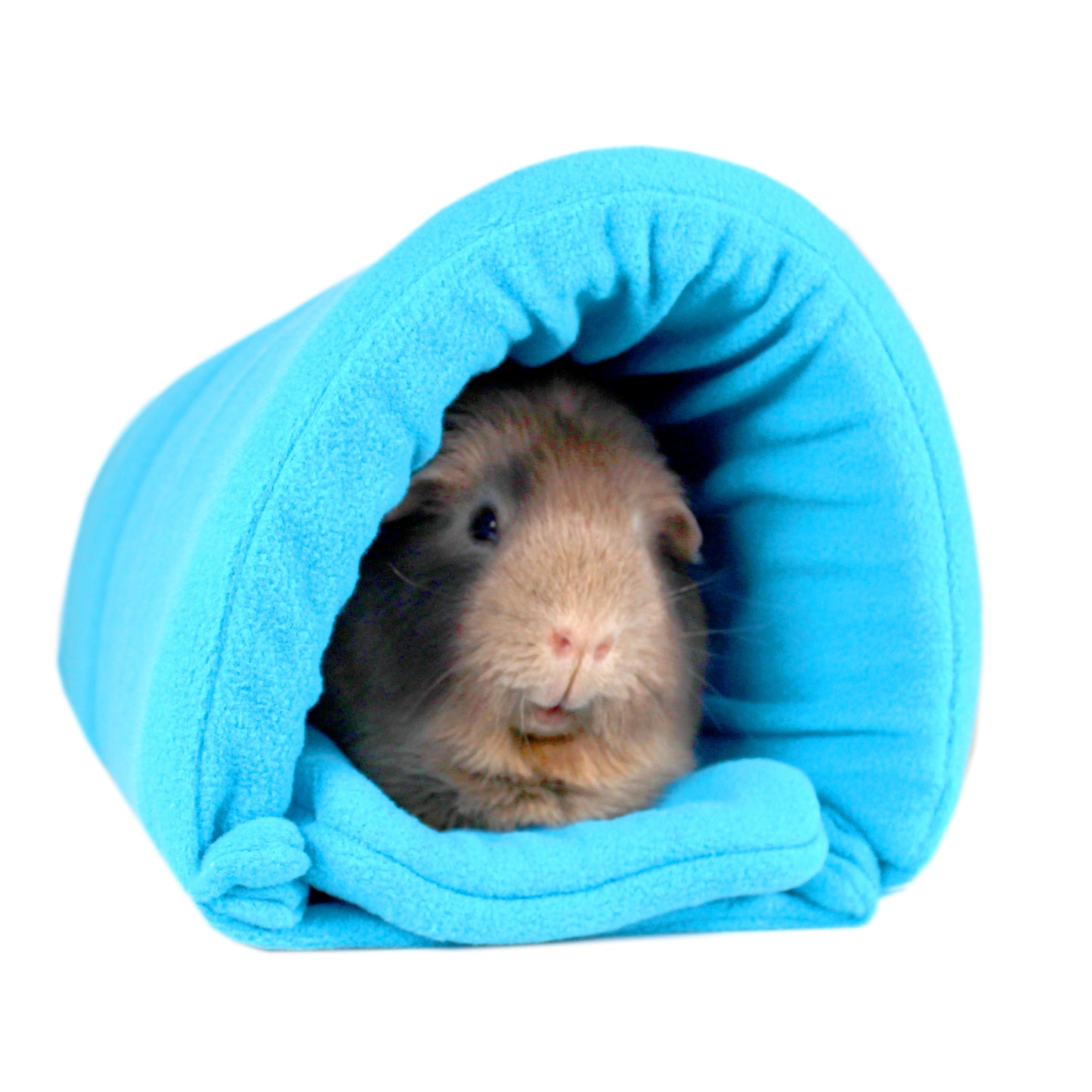 Rich Blue Squish Tunnel for Guinea Pigs