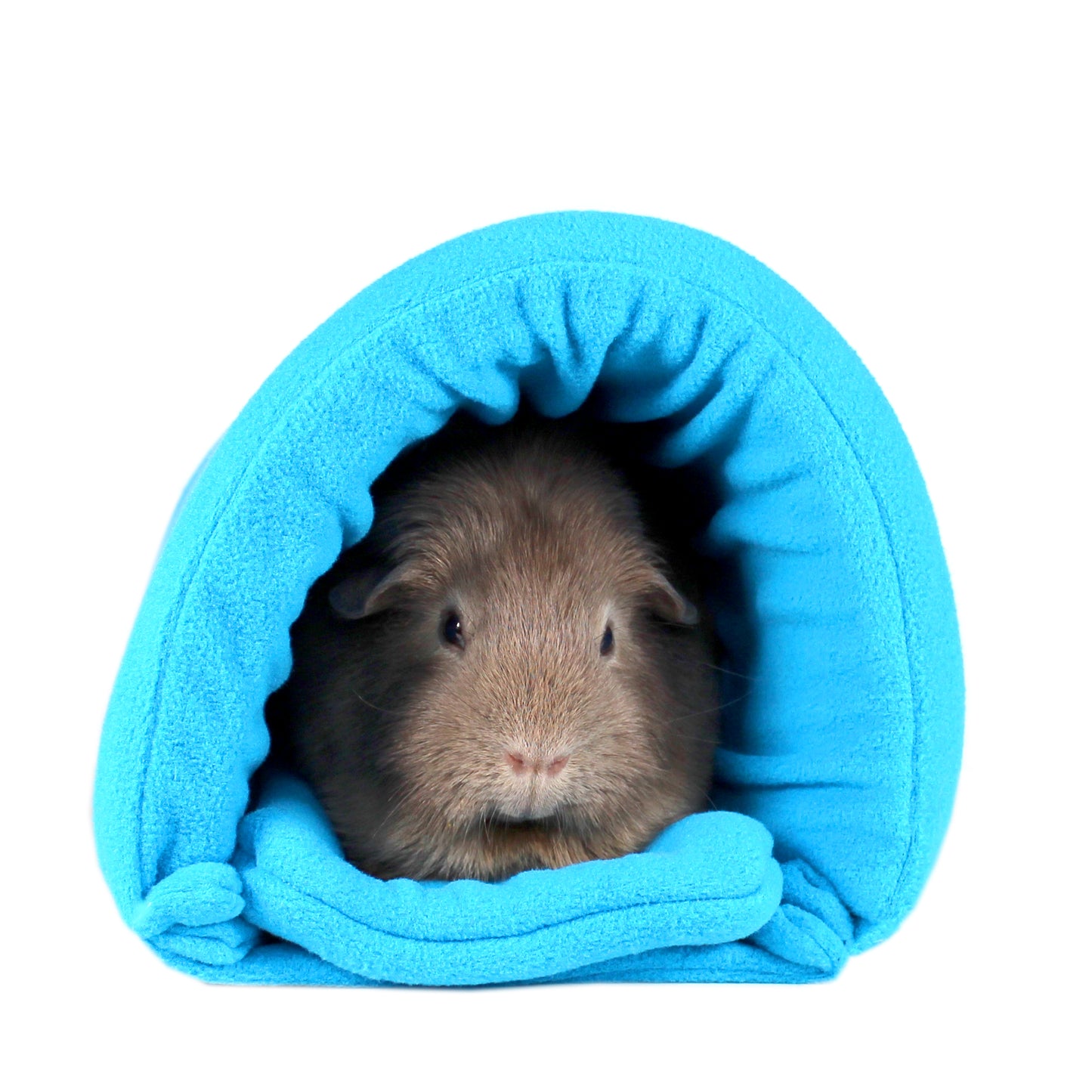 Rich Blue Squish Tunnel for Guinea Pigs