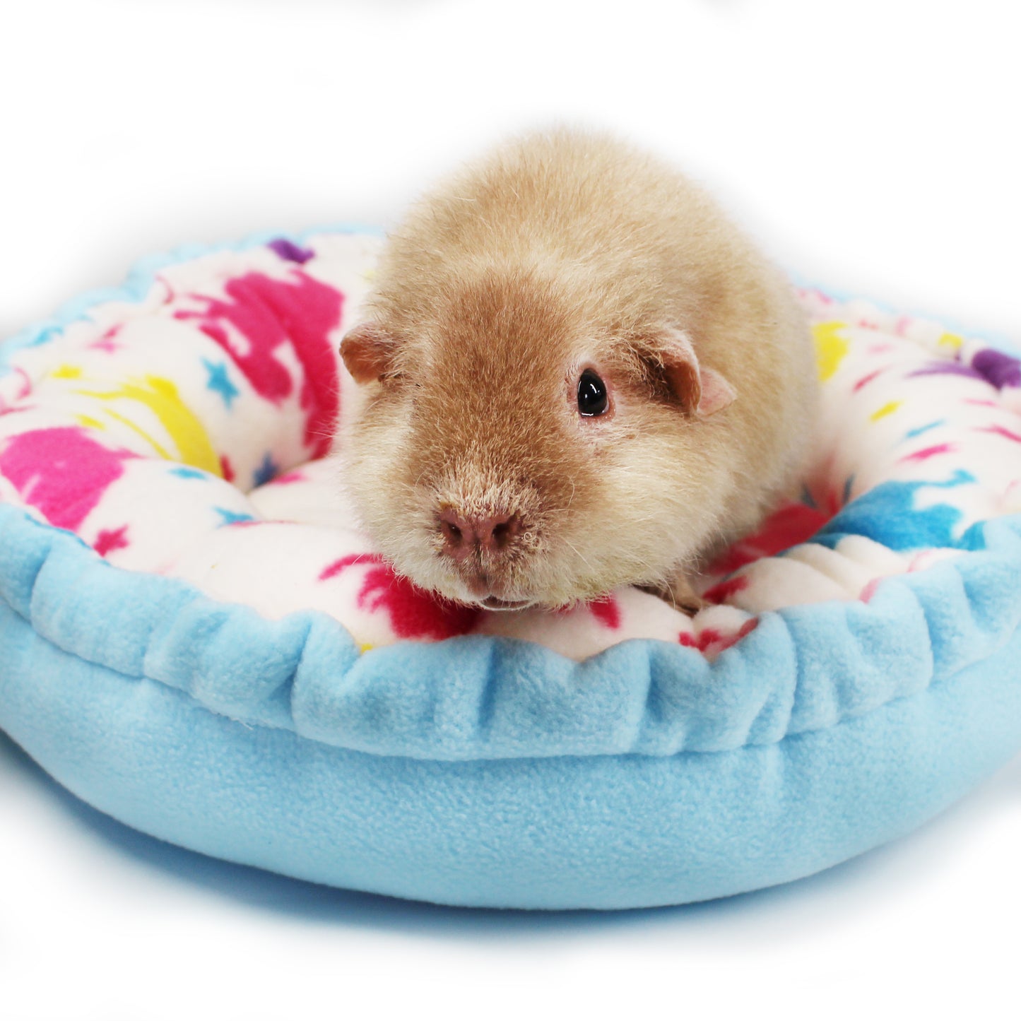 Blue Unicorn Doughnut Bed for Guinea Pigs