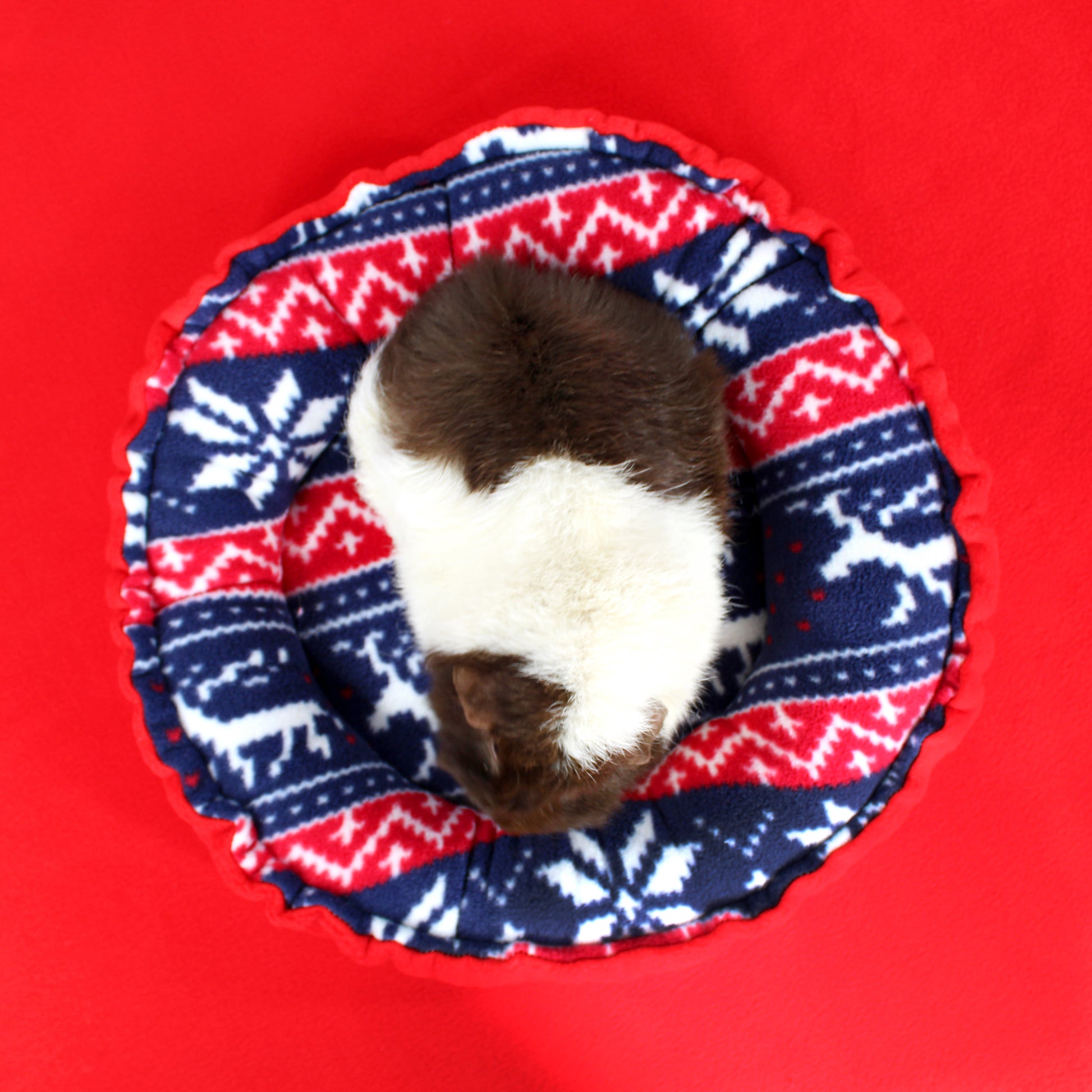 Small animal in a red, white, and blue patterned cone-shaped pet bed on a red background