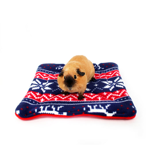 Small animal on a blue and red patterned blanket against a white background