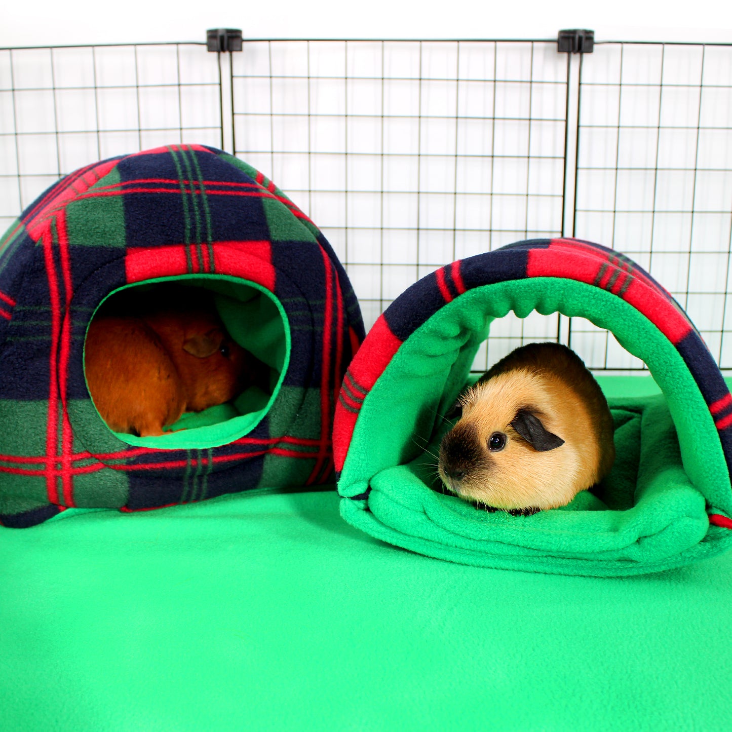 Two guinea pigs in plaid pet houses on a green surface with a wire cage background
