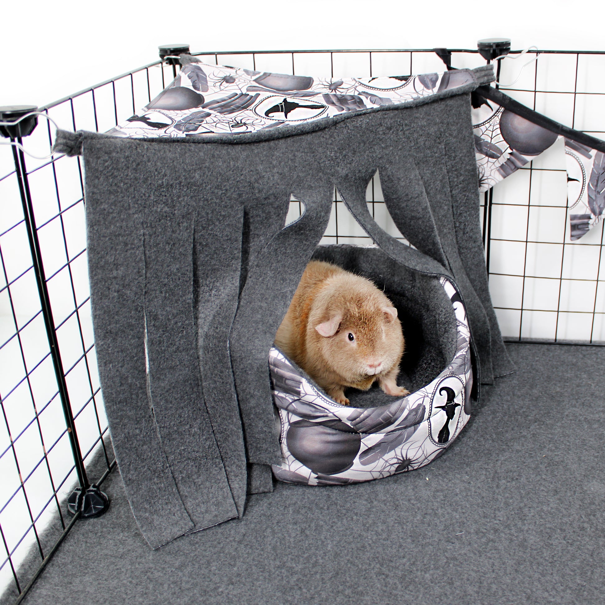 Pet hammock with a guinea pig inside in a pet cage.
