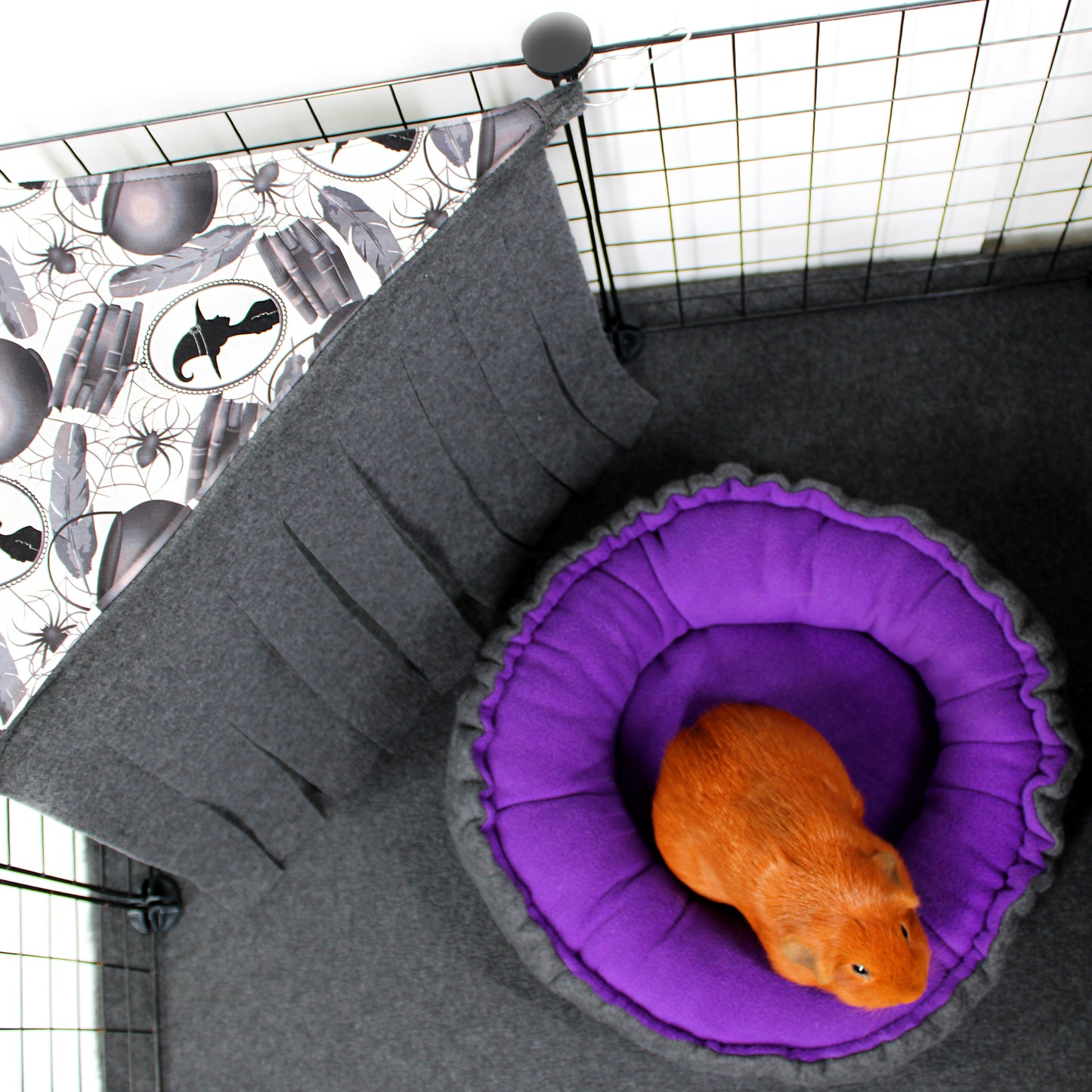 Pet cage with a purple cushion and an orange guinea pig inside