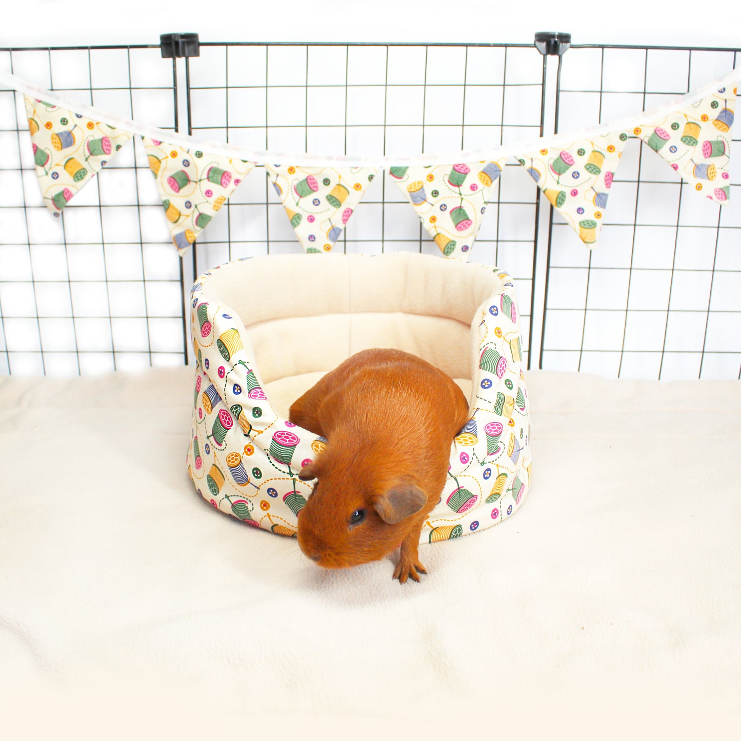 Sew Sweet Guinea Pig Accessory Bundle