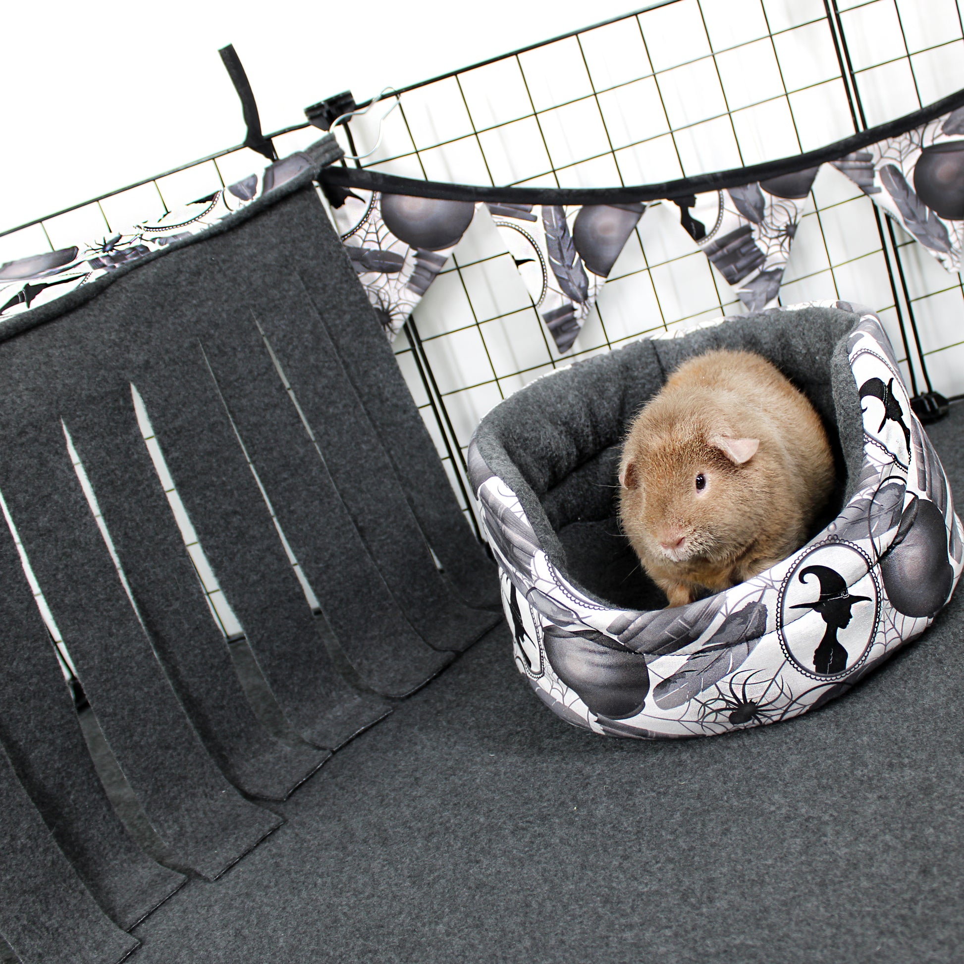 Small animal in a hammock with spider web design inside a vehicle.