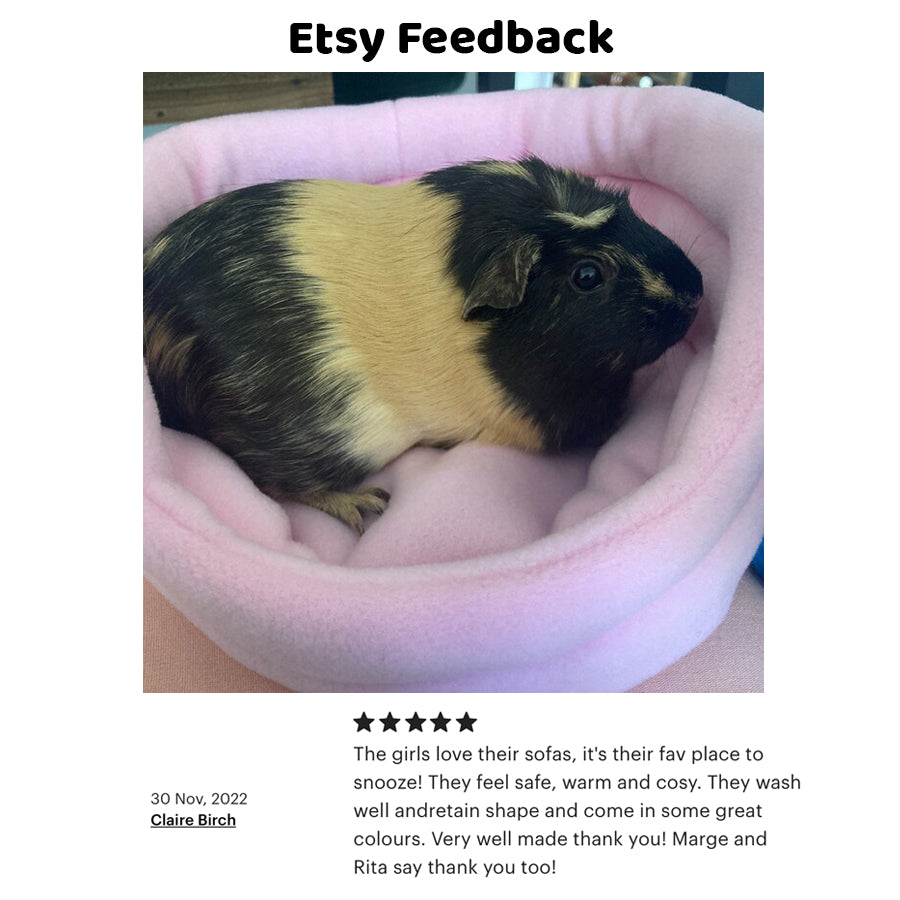 Baby Pink Guinea Pig Bed
