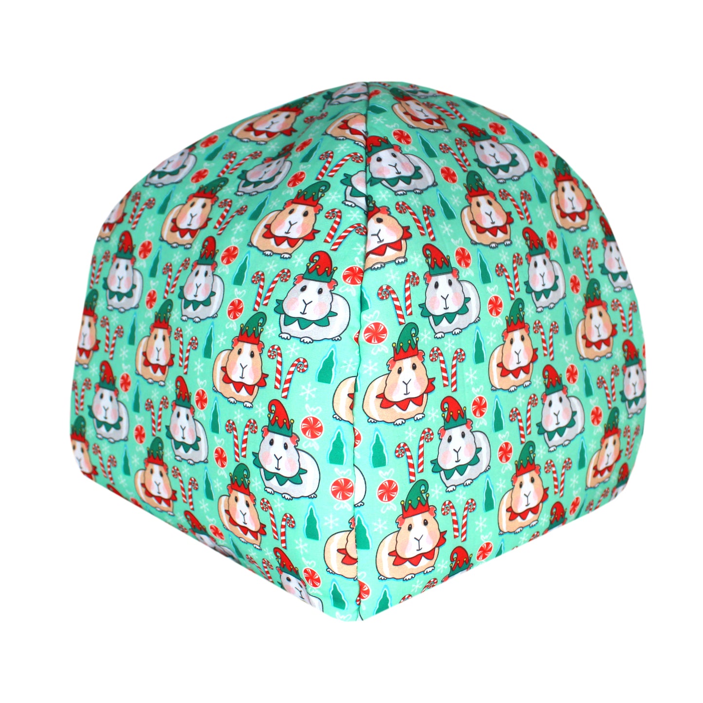 Festive Guinea Pig Design Hidey House for Guinea Pigs, rear view