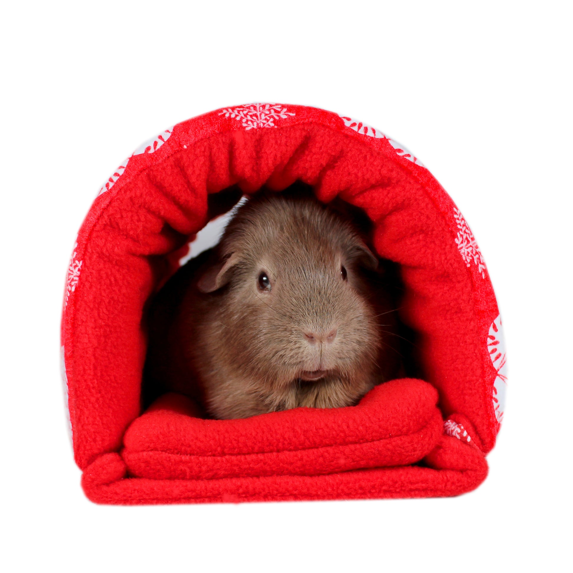 Red And White Christmas Guinea Pig Snuggle Tunnel, front view with happy guinea pig