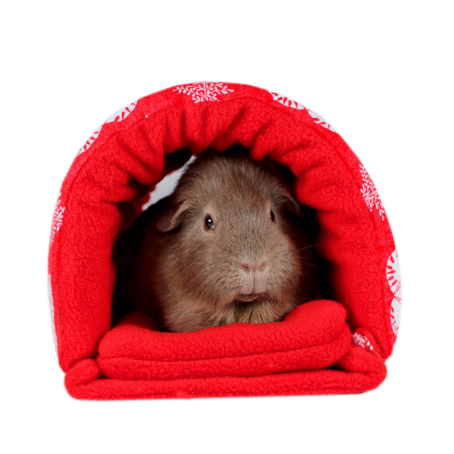 Red and White Classic Christmas Guinea Pig Accessory Bundle