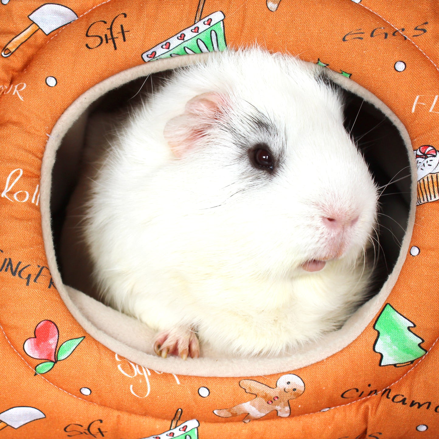 Gingerbread Guinea Pig Accessory Bundle