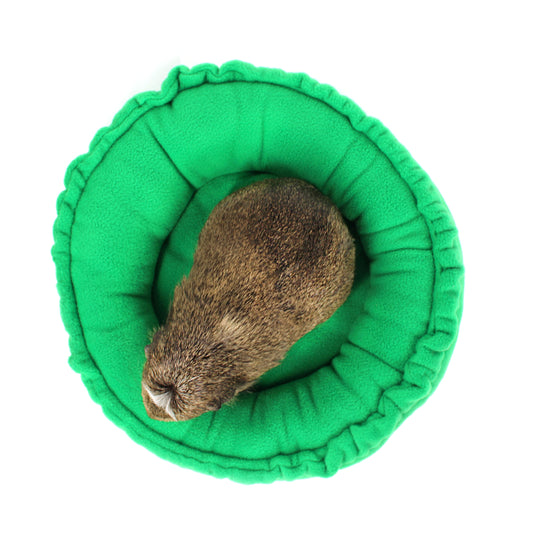 Small brown animal lying on a green cushion against a white background