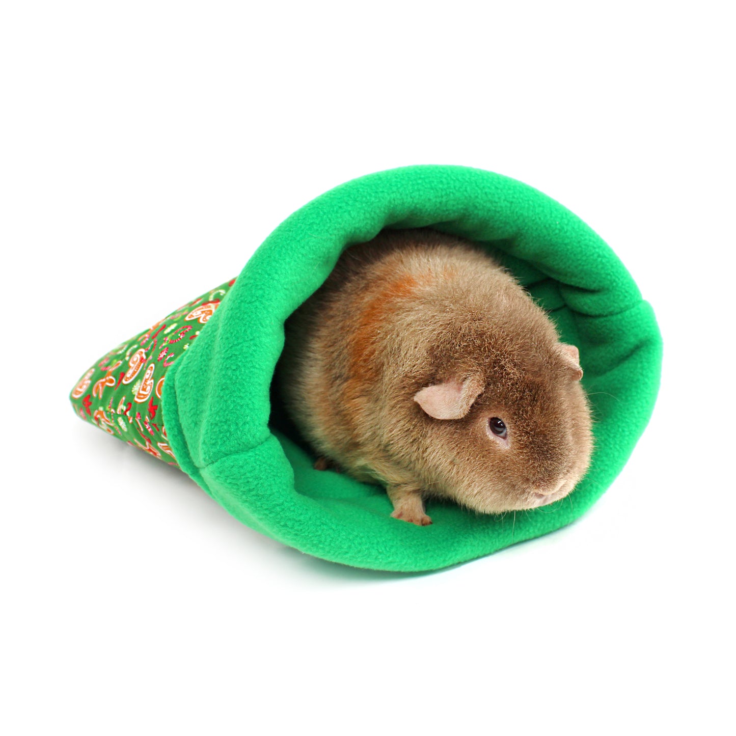 Small brown teddy guinea pig peeking out from a green tunnel with floral pattern on a white background