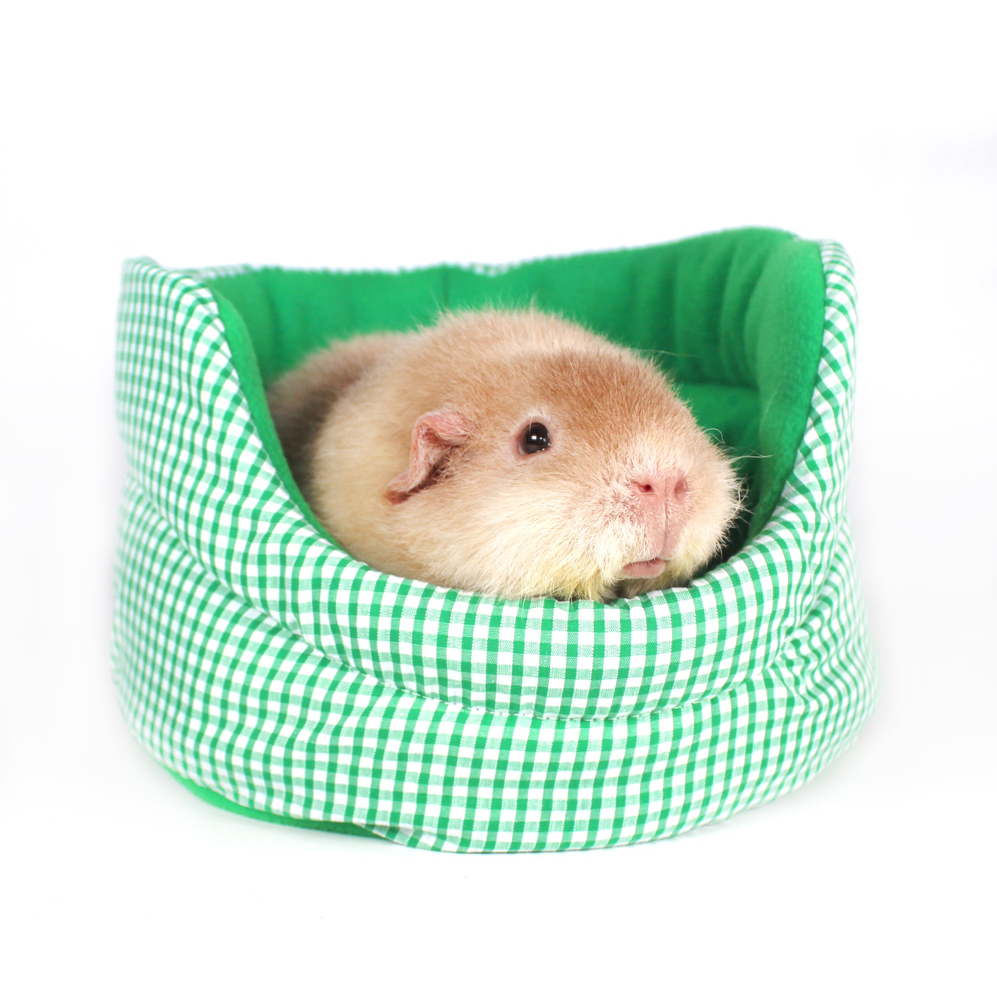 Emerald Green Gingham Cuddle Cup Bed, close up view with a guinea pig snuggled inside the cuddle cup bed