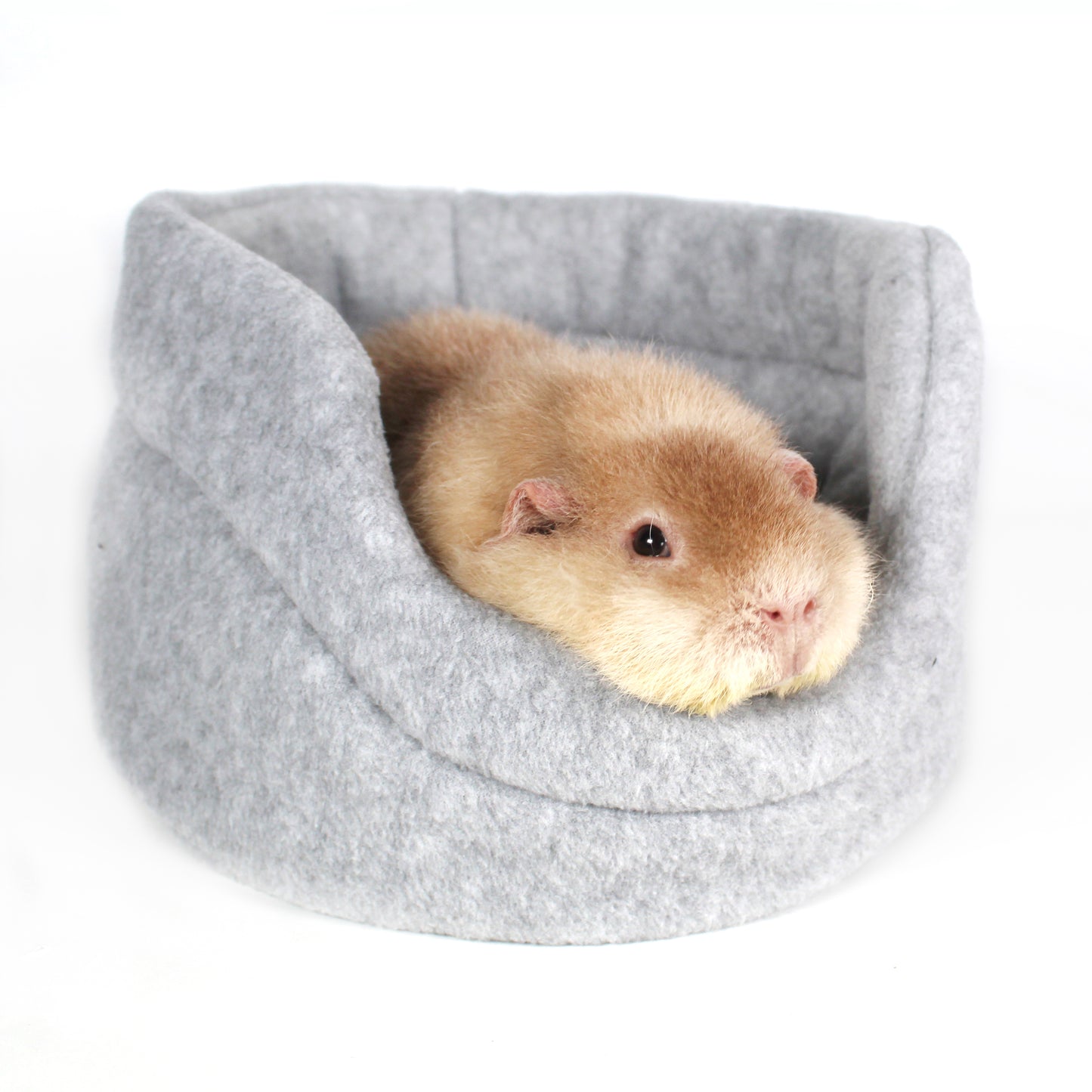 Gray Cuddle Cup Bed for Guinea Pigs, close up with a happy guinea pig inside the bed