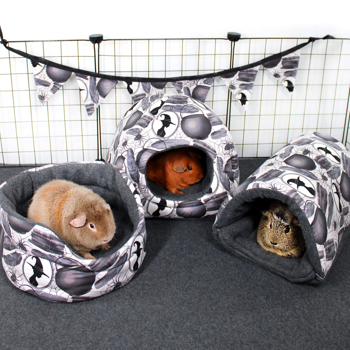 Pet bed and tunnel with guinea pigs inside on a grid background