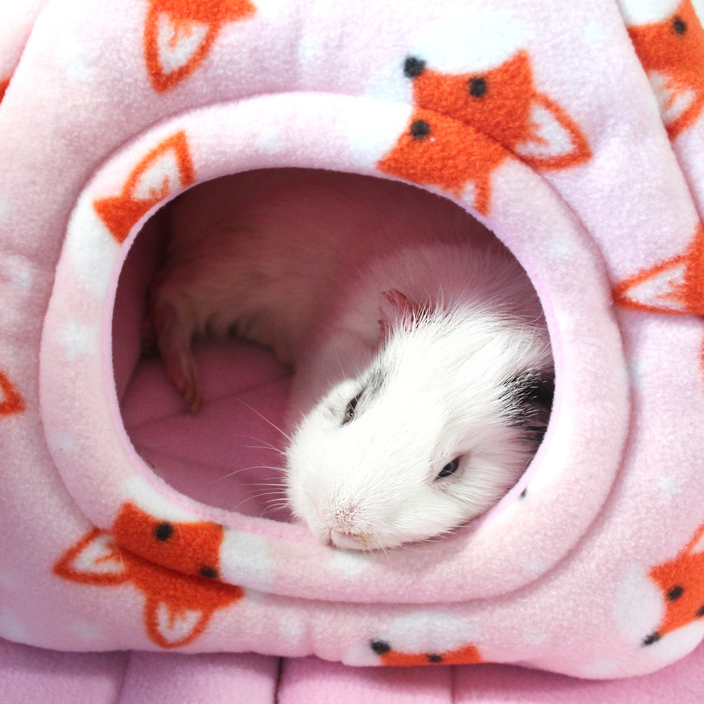 Foxy Fleece Guinea Pig Accessory Bundle