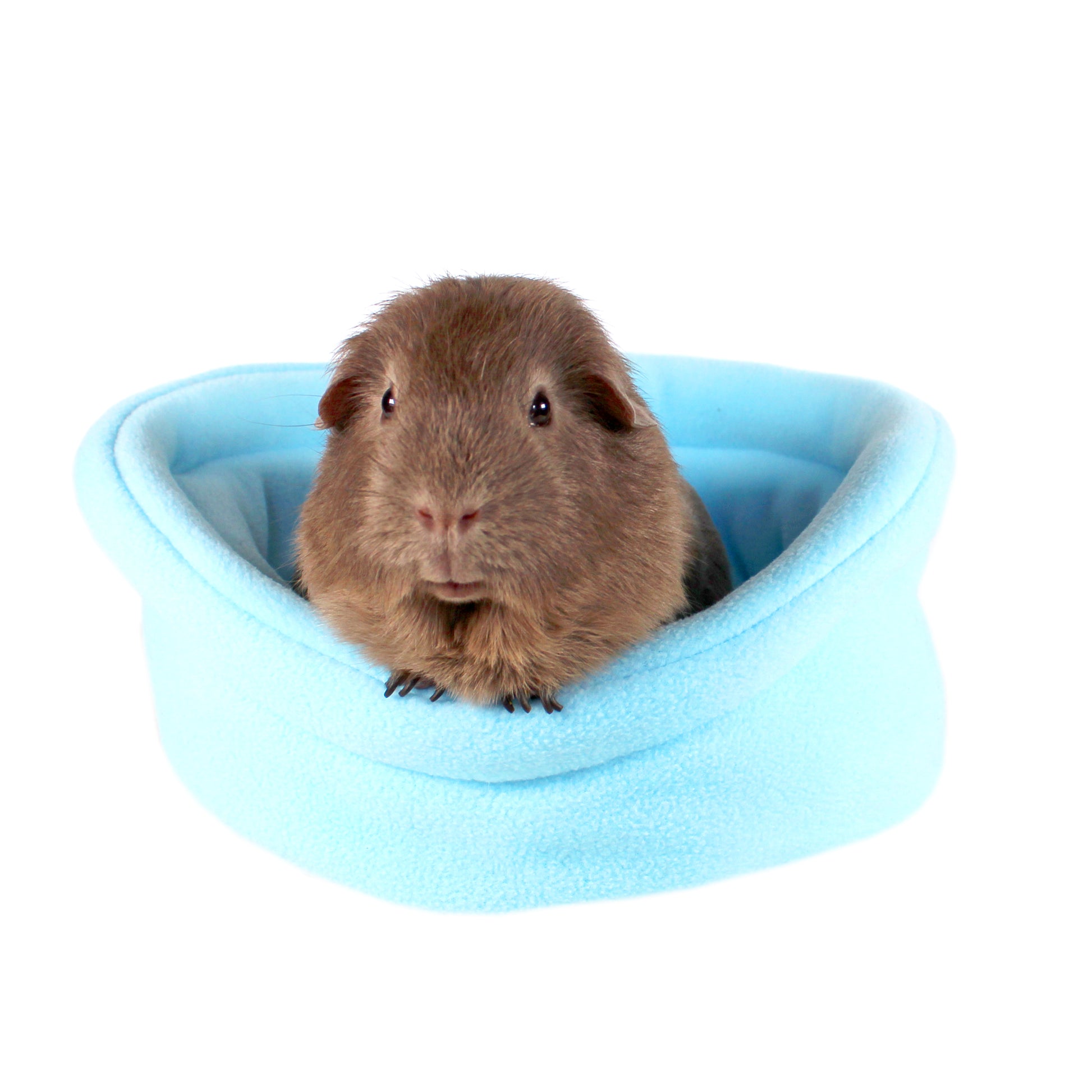 Baby Blue Guinea Pig Bed, front view with guinea pig